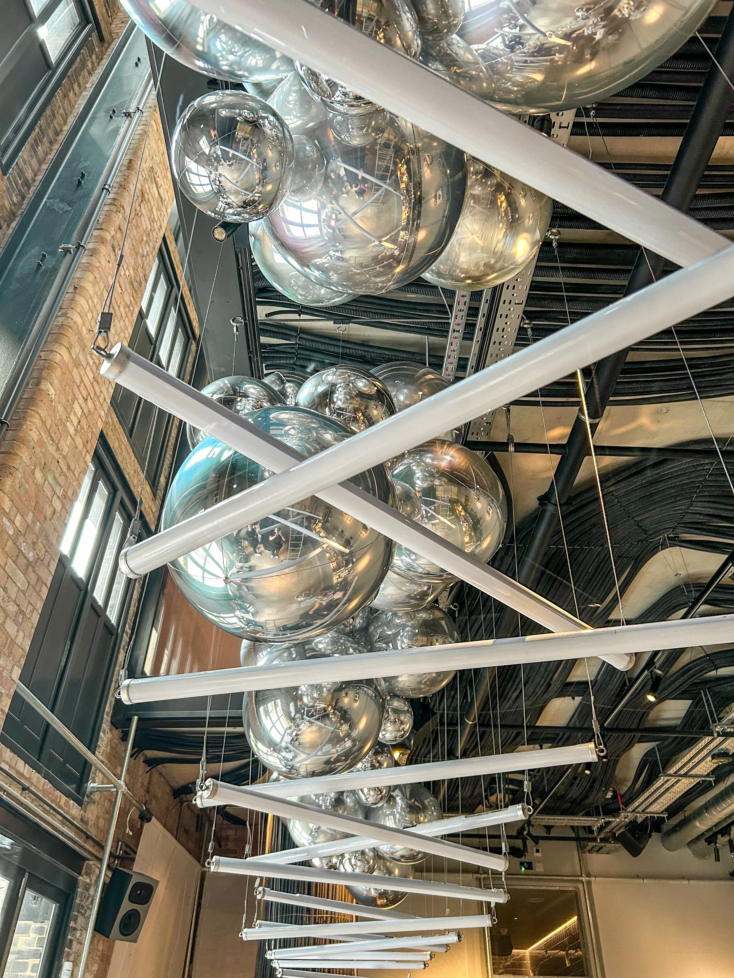 Dove at the Noisy Oyster Restaurant