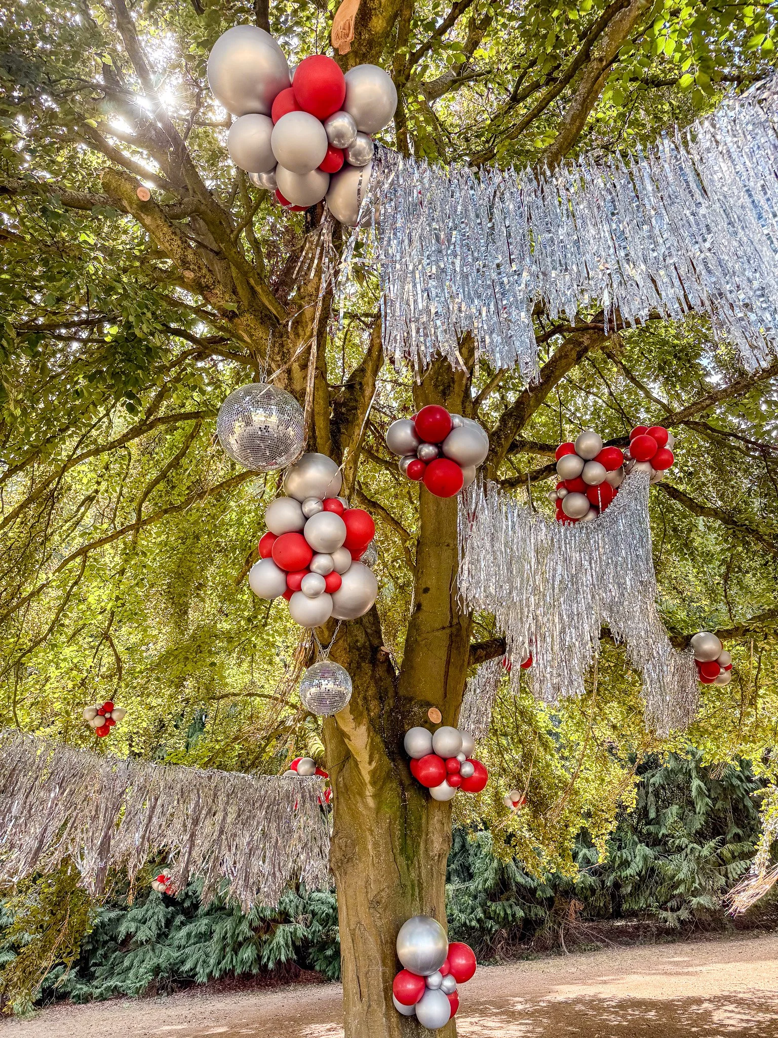 Tassel Fringe Balloon Tree Installation Saltburn Party