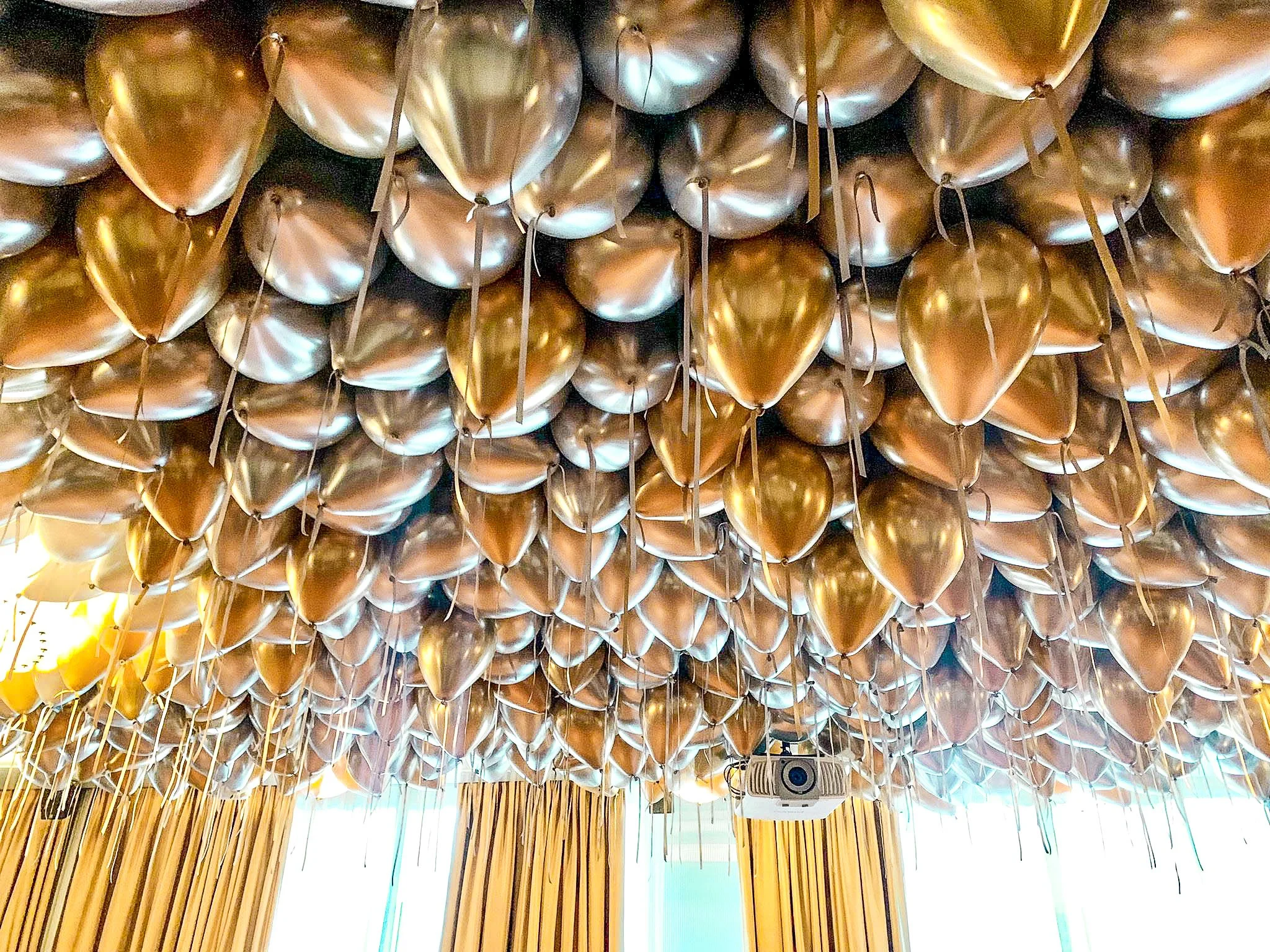 PHOTO-2022-11-12-16-35-40 2.jpg