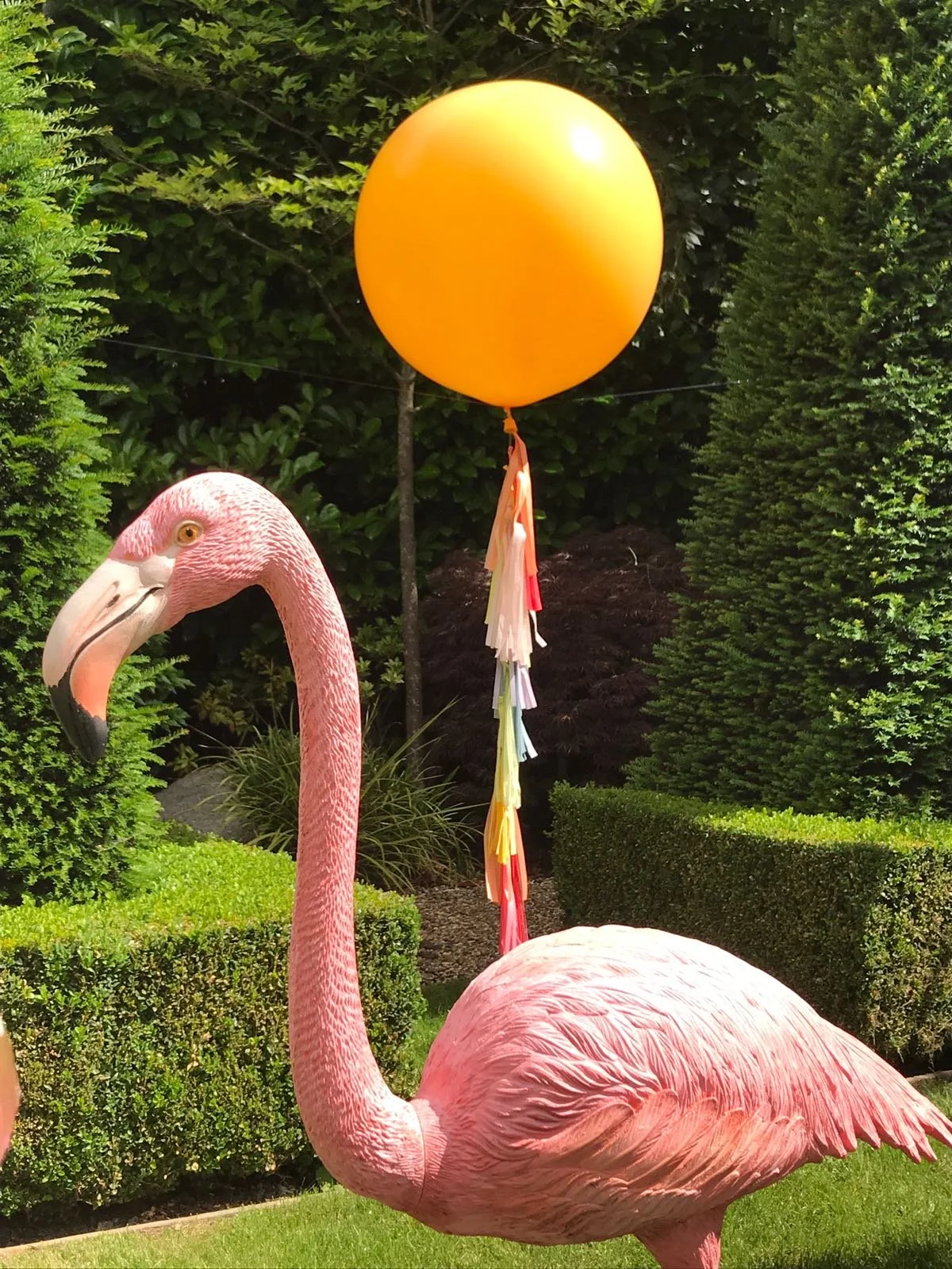 WhatsApp Image 2018-06-16 at 10.47.12.jpeg