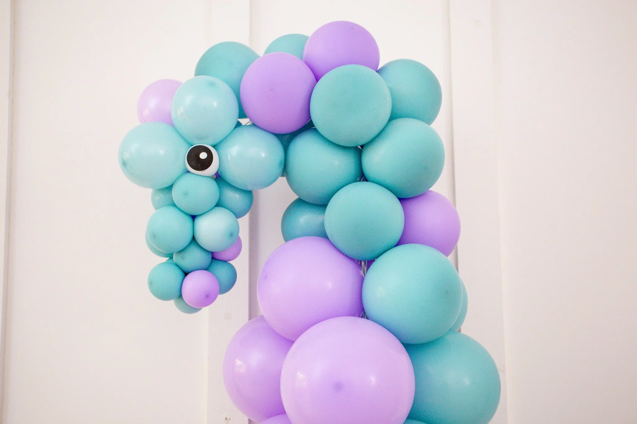 Pro Balloon Training: Seahorse