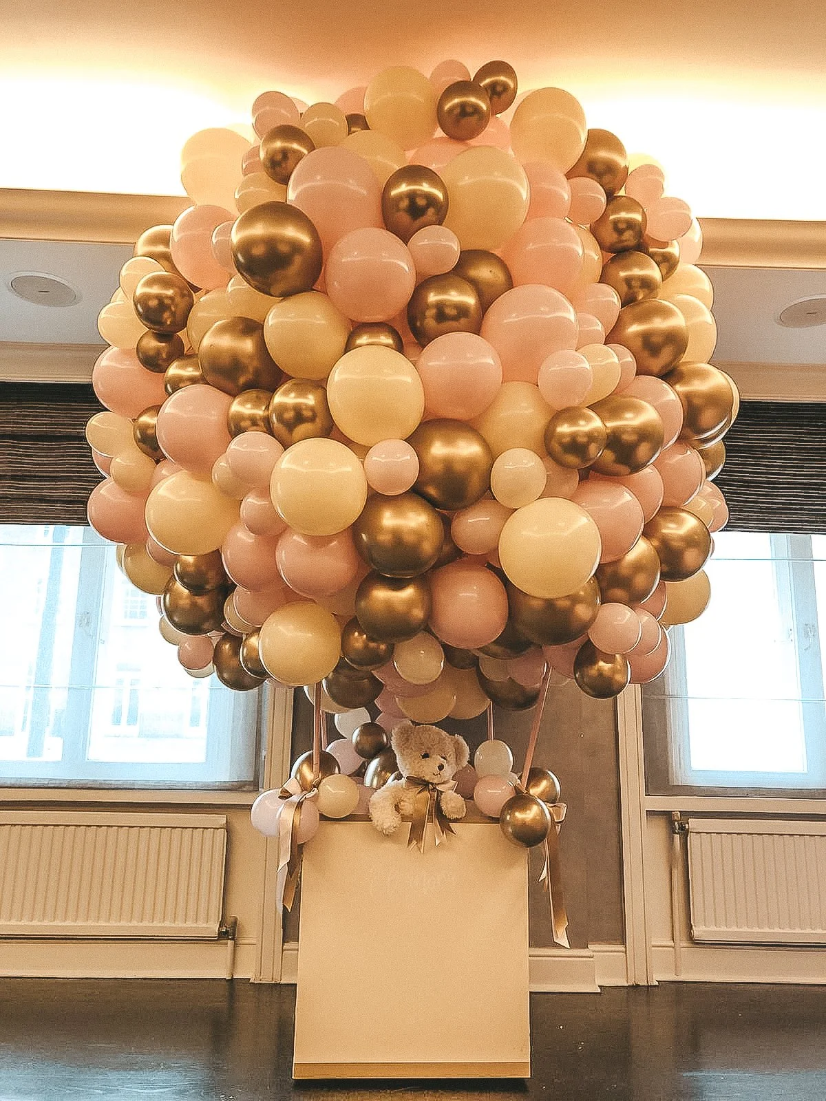 The Berkeley Christening Hot Air Balloon (5).jpg