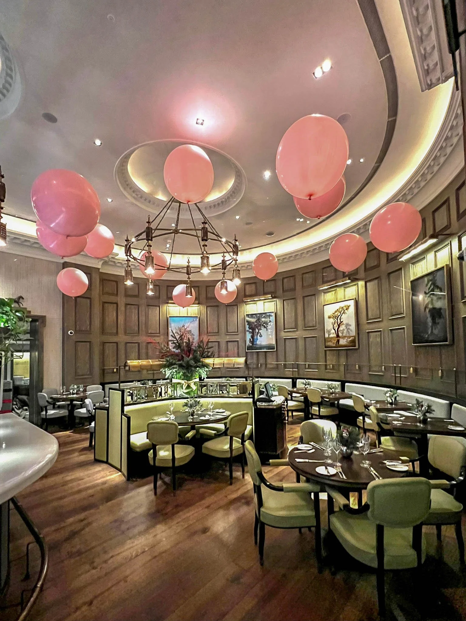 WhatsApp Image 2022-12-31 at 11.31.43.jpg