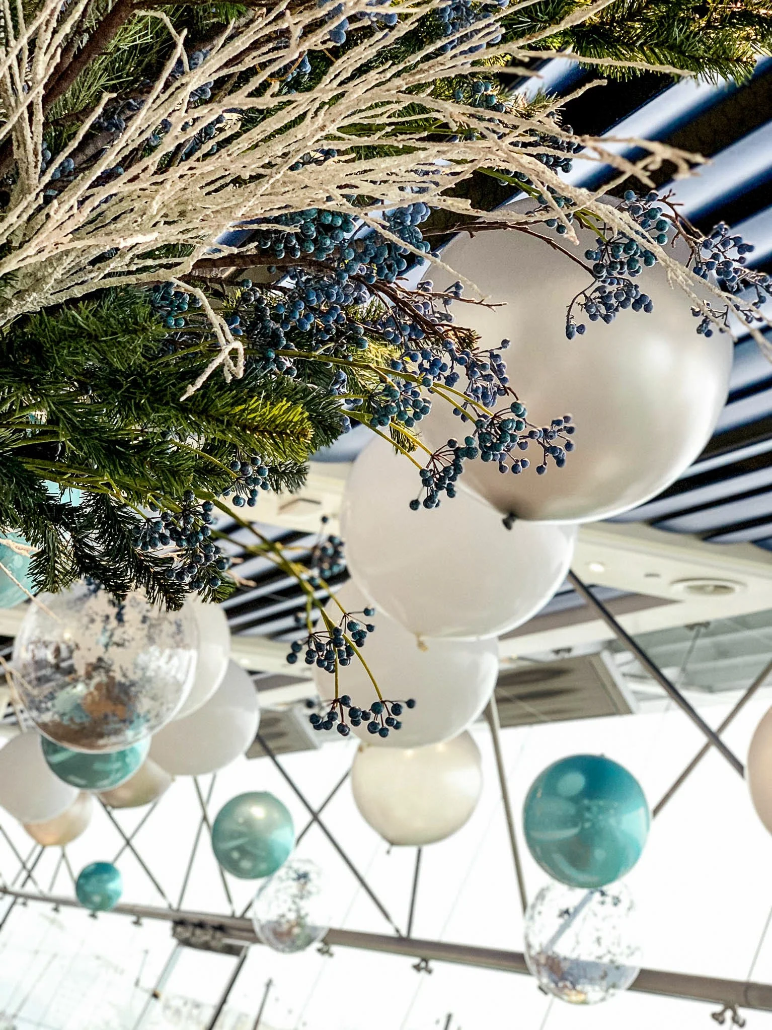 WhatsApp Image 2022-12-30 at 10.53.48.jpg