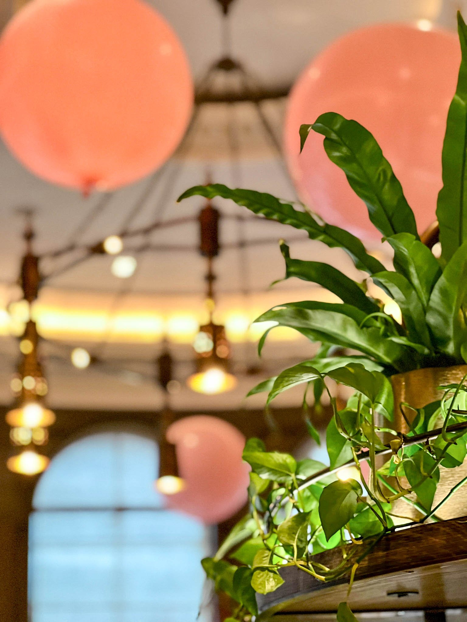 WhatsApp Image 2022-12-31 at 11.31.42 (2).jpg