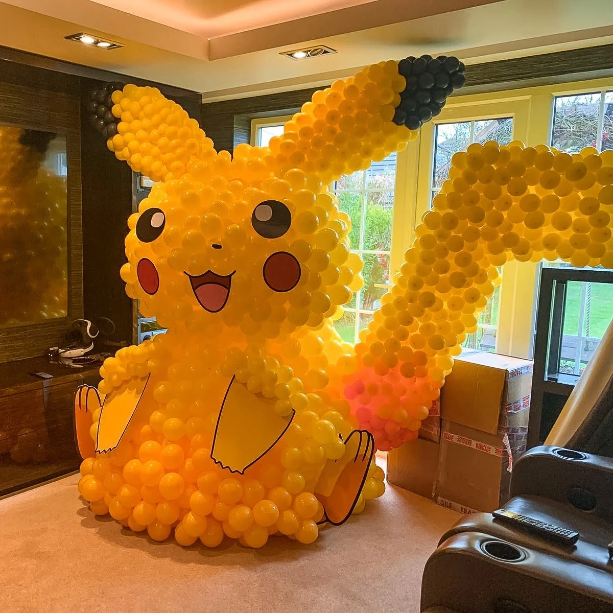 20.02 Pikachu (1).jpg