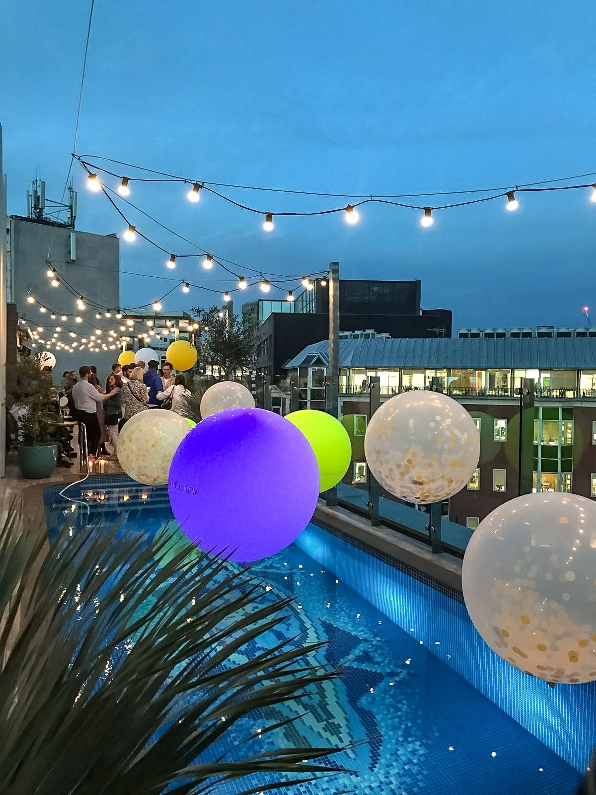 The Curtain Pool, Mission, J Crew (1).jpg