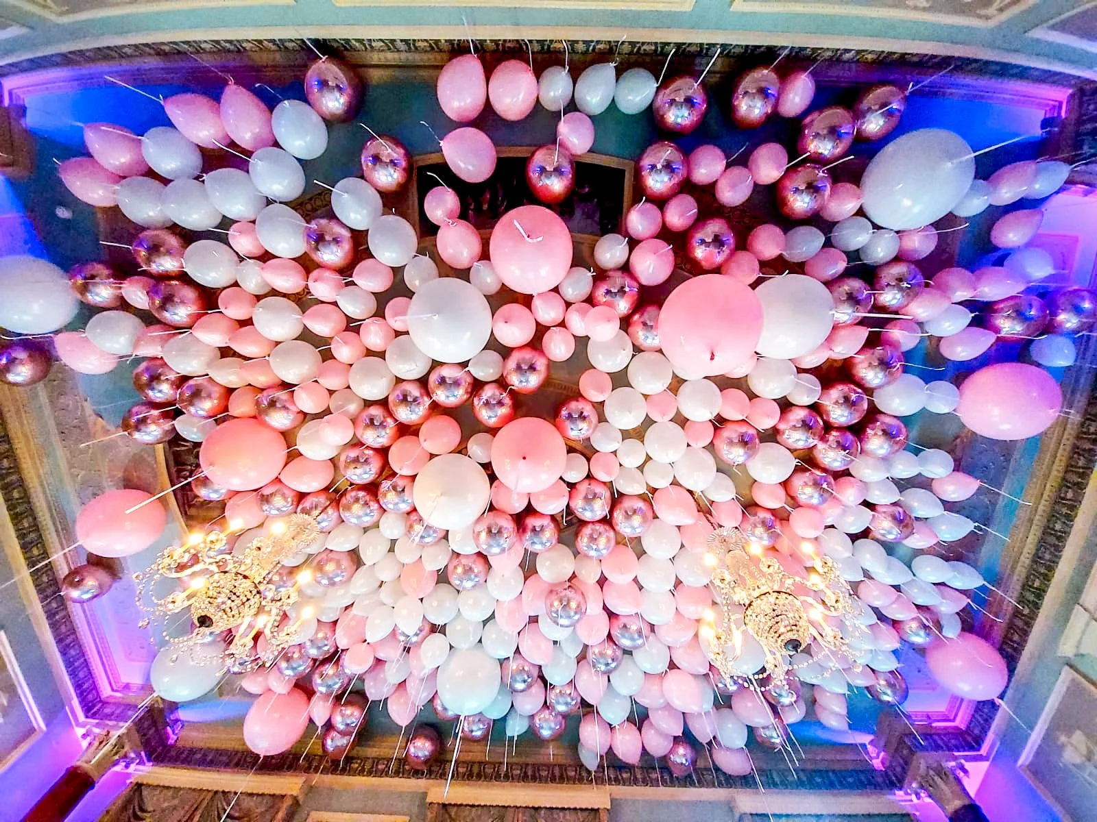 Home House Front Parlour Pink Ceiling (10).jpg