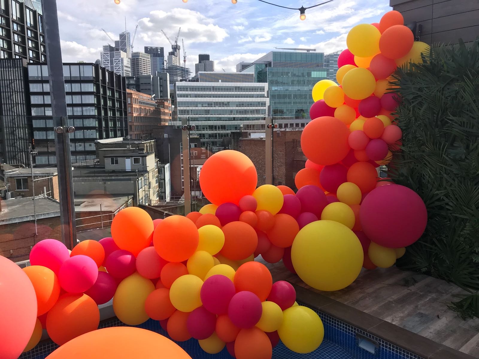 The Curtain Pool Bumble (3).jpeg