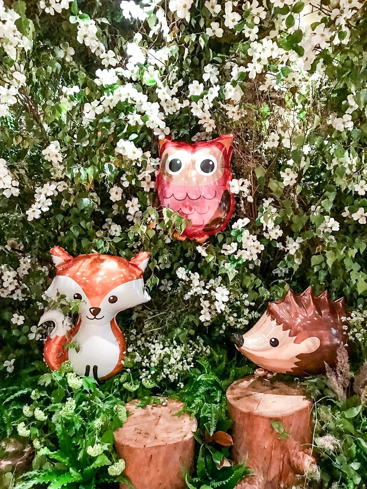 nikki tibbles connaught (7).jpg