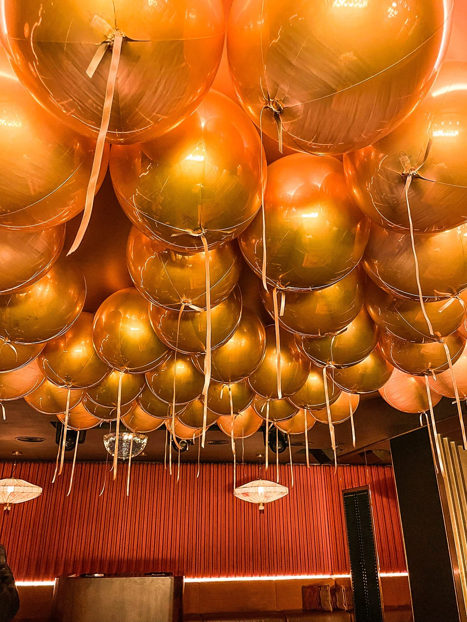 WhatsApp Image 2022-12-20 at 19.19.17.jpg