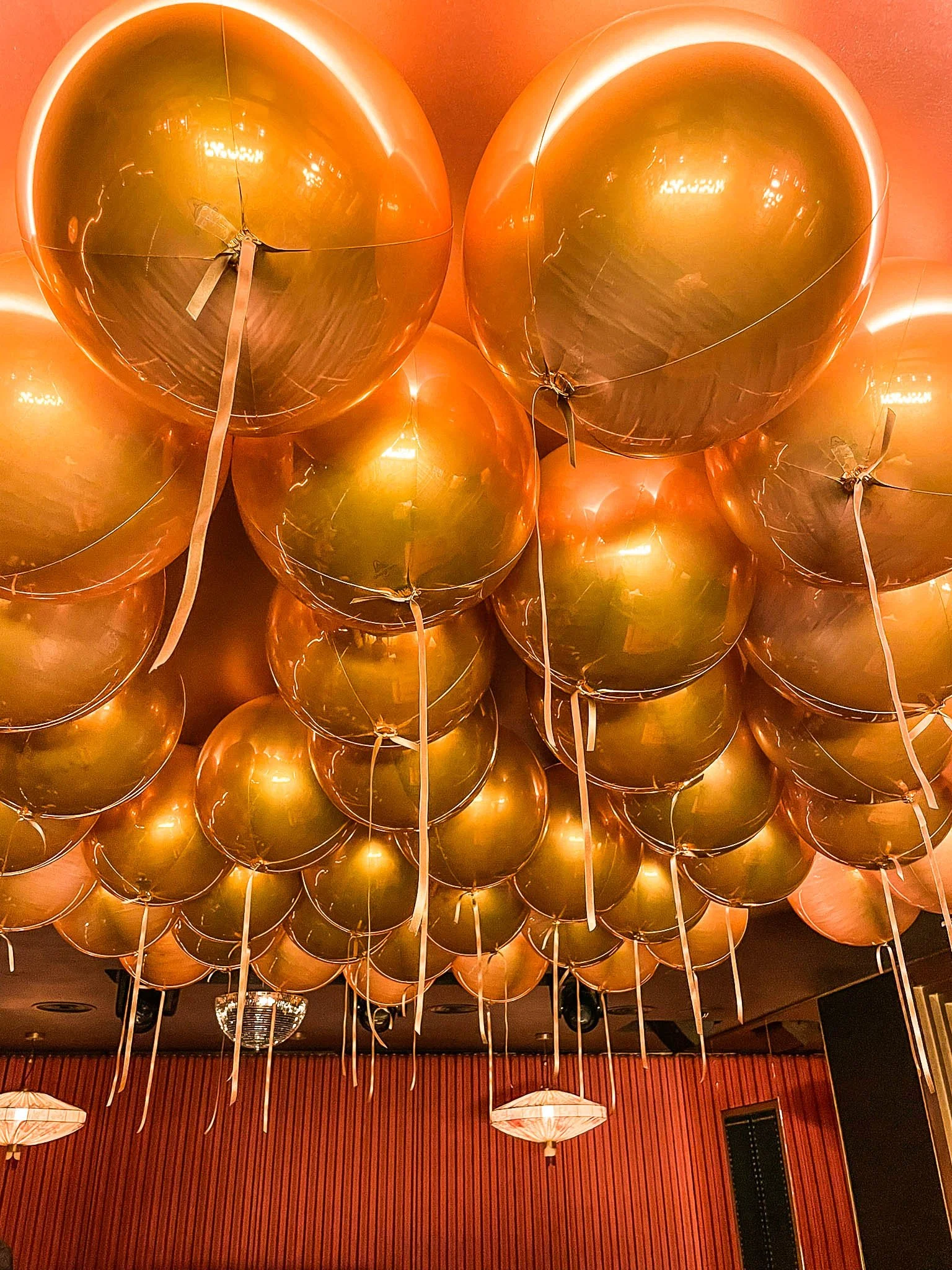 WhatsApp Image 2022-12-20 at 19.19.19.jpg