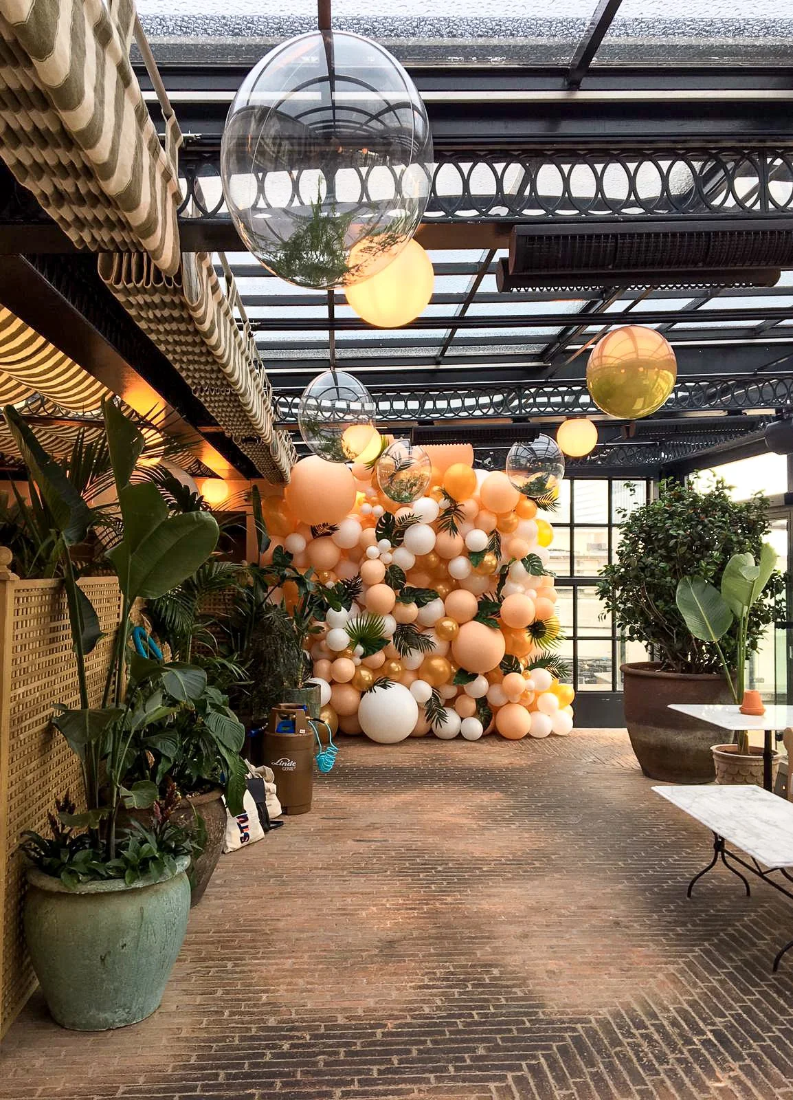 The Ned 2nd Birthday (6)1.jpg