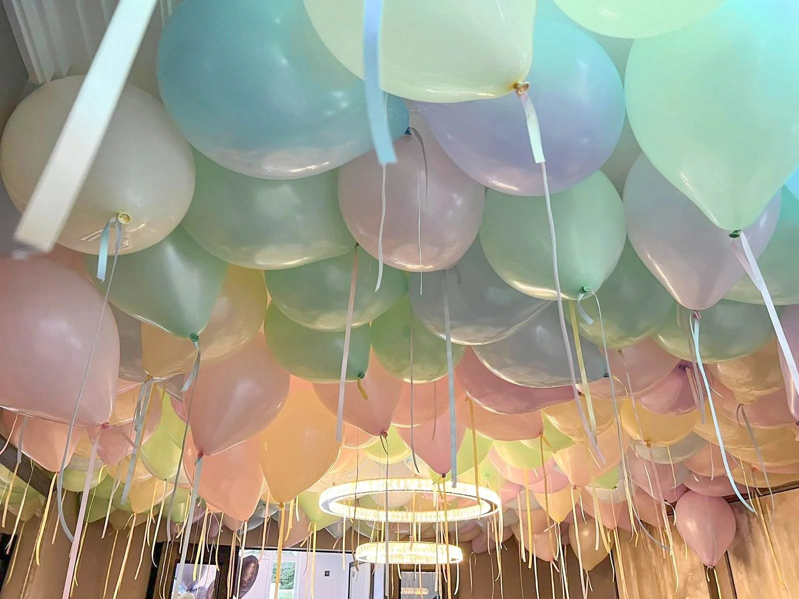 PHOTO-2022-11-04-14-38-14 2.jpg