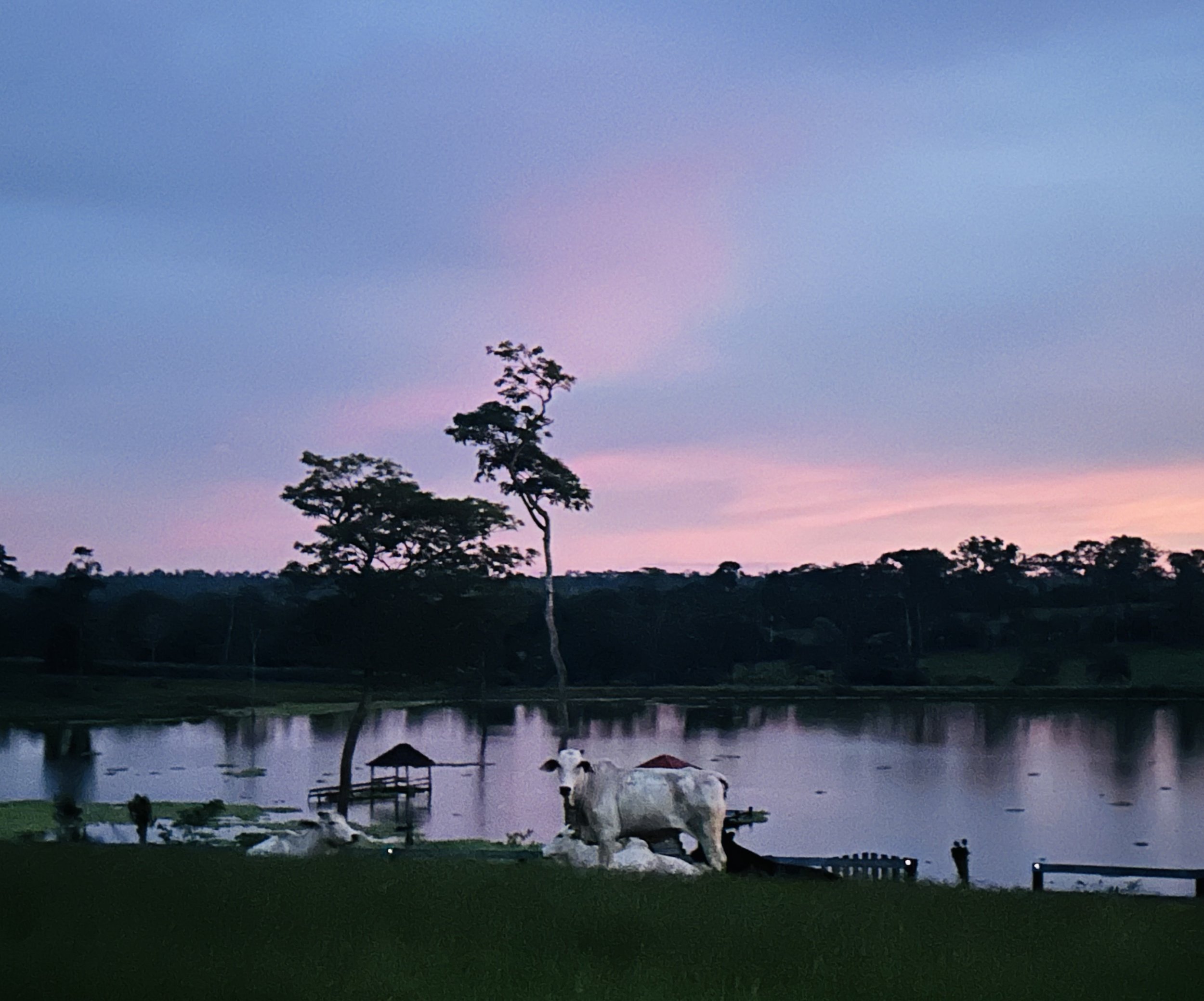 Paysage au crépuscule avec un lac, des arbres et un cow-boy blanc positioning à côté d'un petit pont en bois.