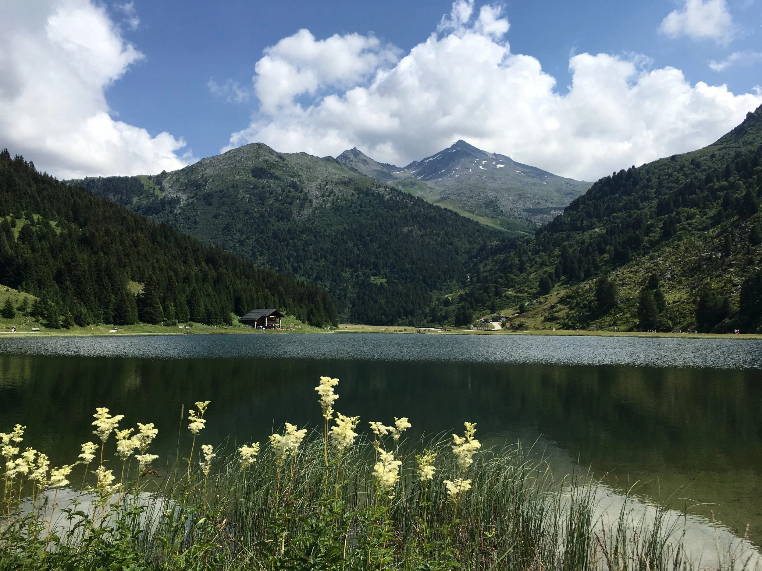 Paysage de montagne avec un lac, forêt verdoyante, ciel partiellement nuageux et fleurs dans le premier plan.