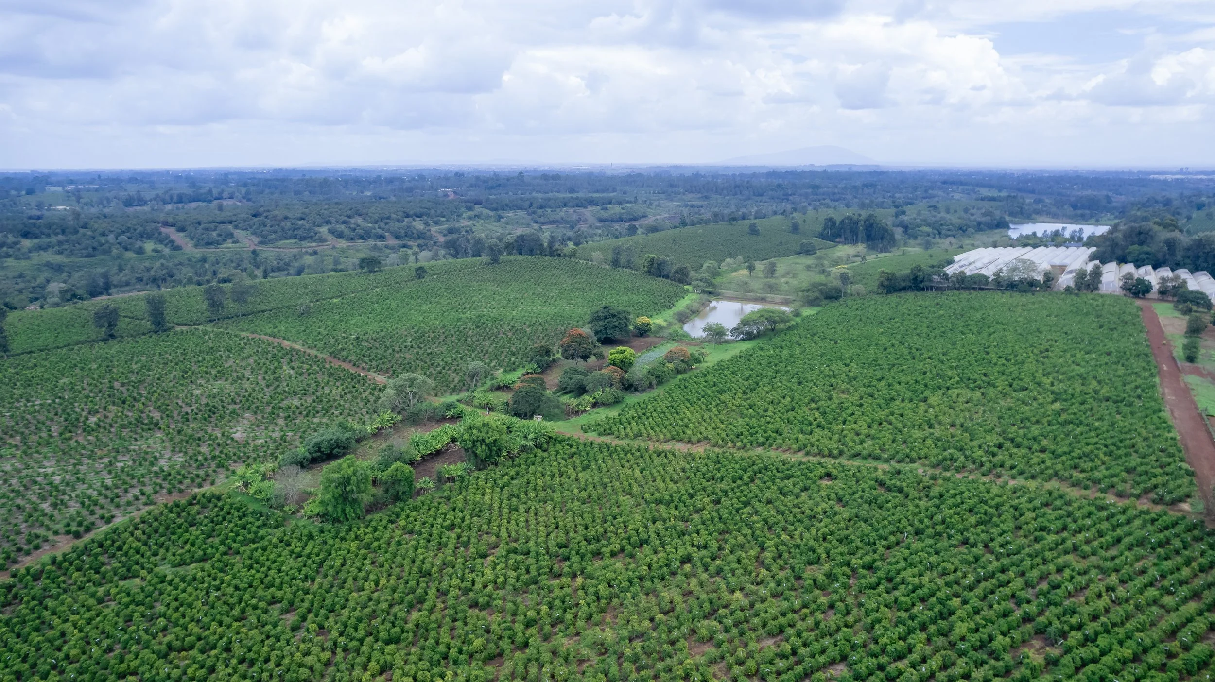DJI_0205.jpg