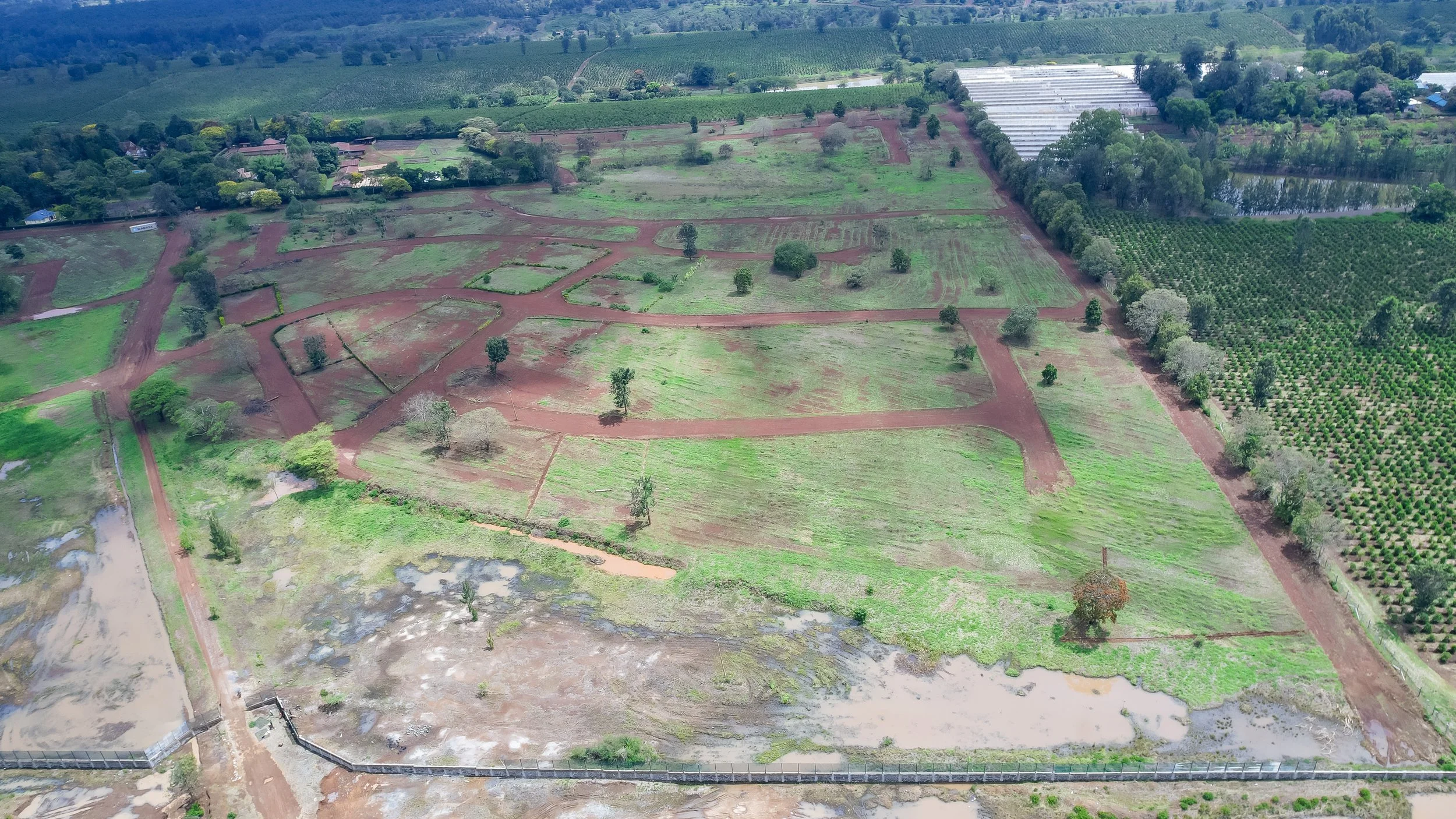 DJI_0151.jpg