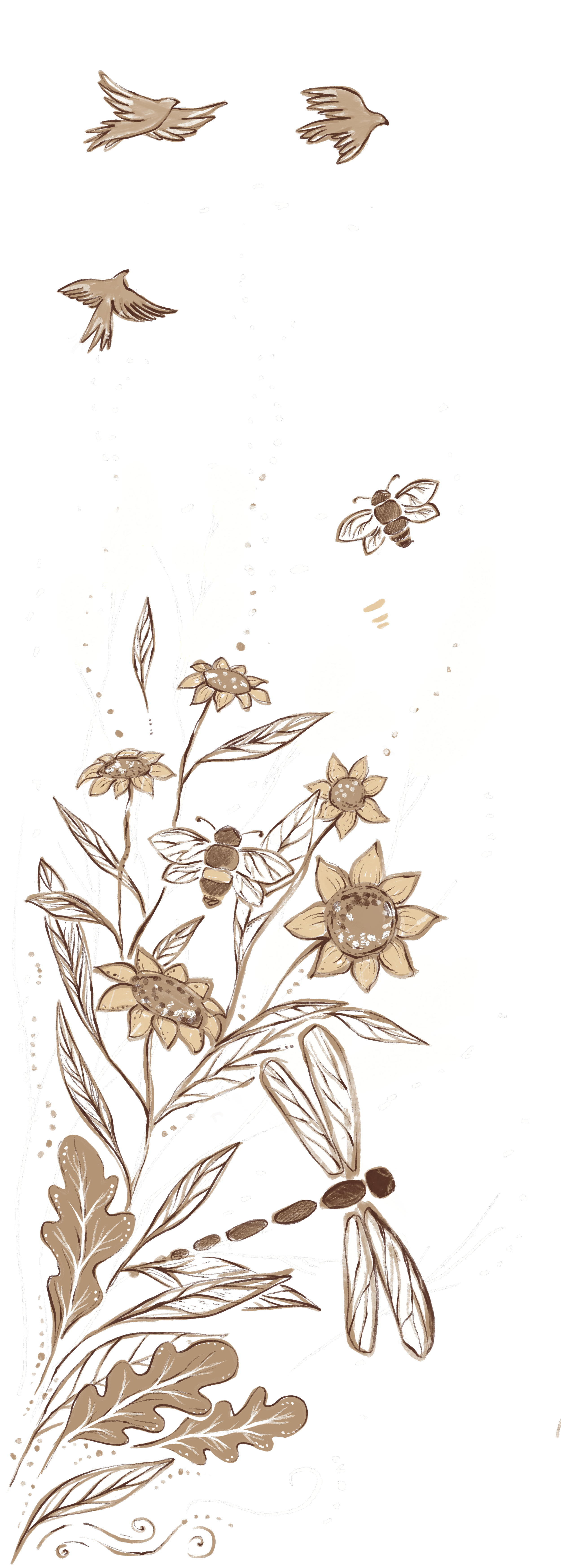 Illustration de fleurs de tournesol avec des abeilles et des mouches butinant dessus, avec un fond noir.