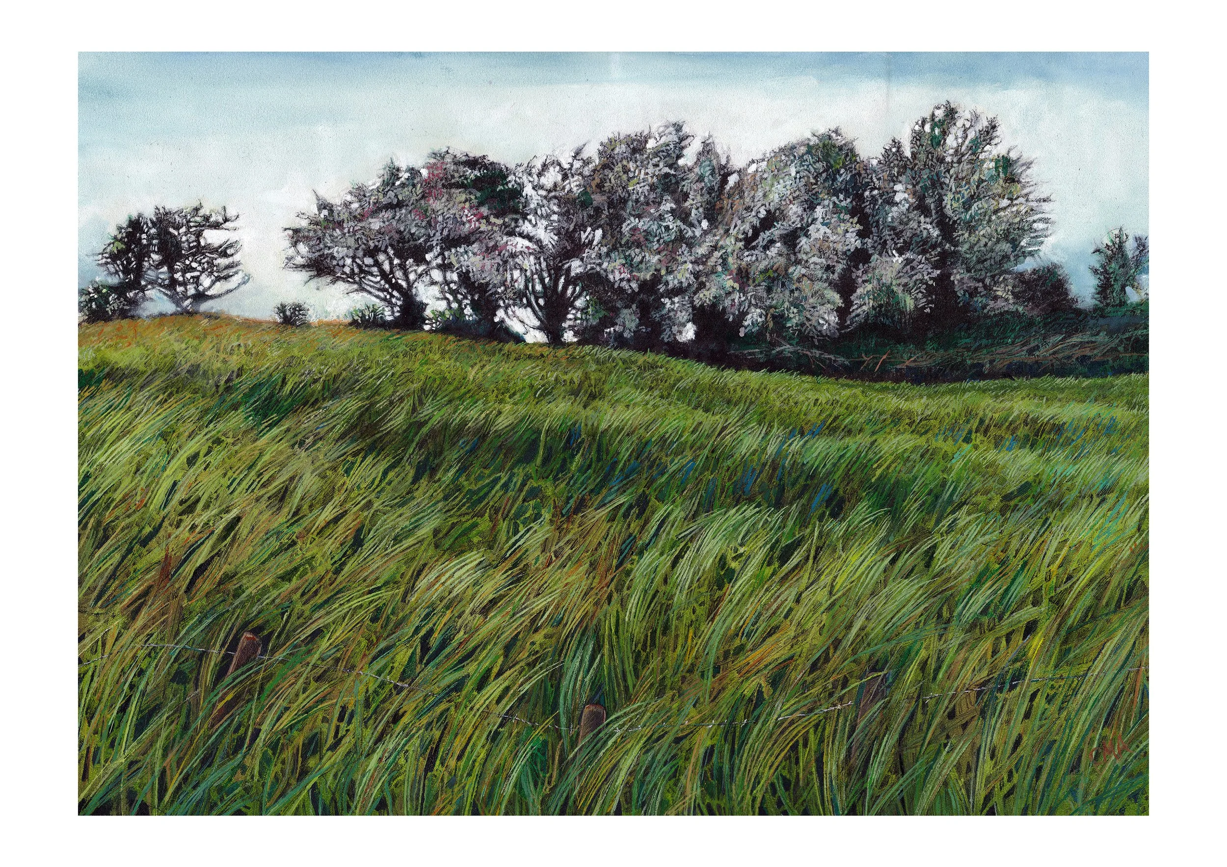'Field Line', watercolour and gouache on cloth.