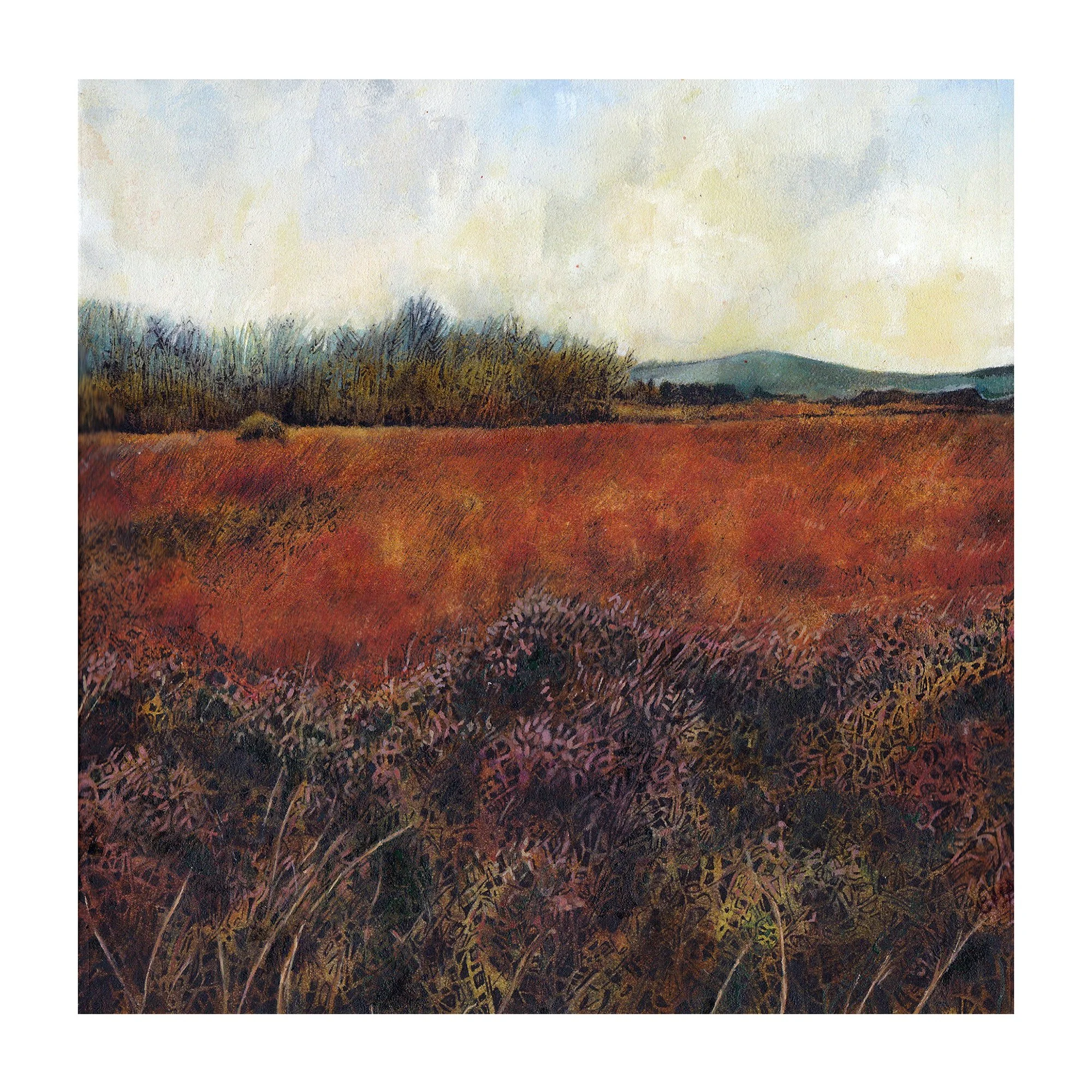 'The Light Remembering the Land', watercolour and gouache on cloth.
