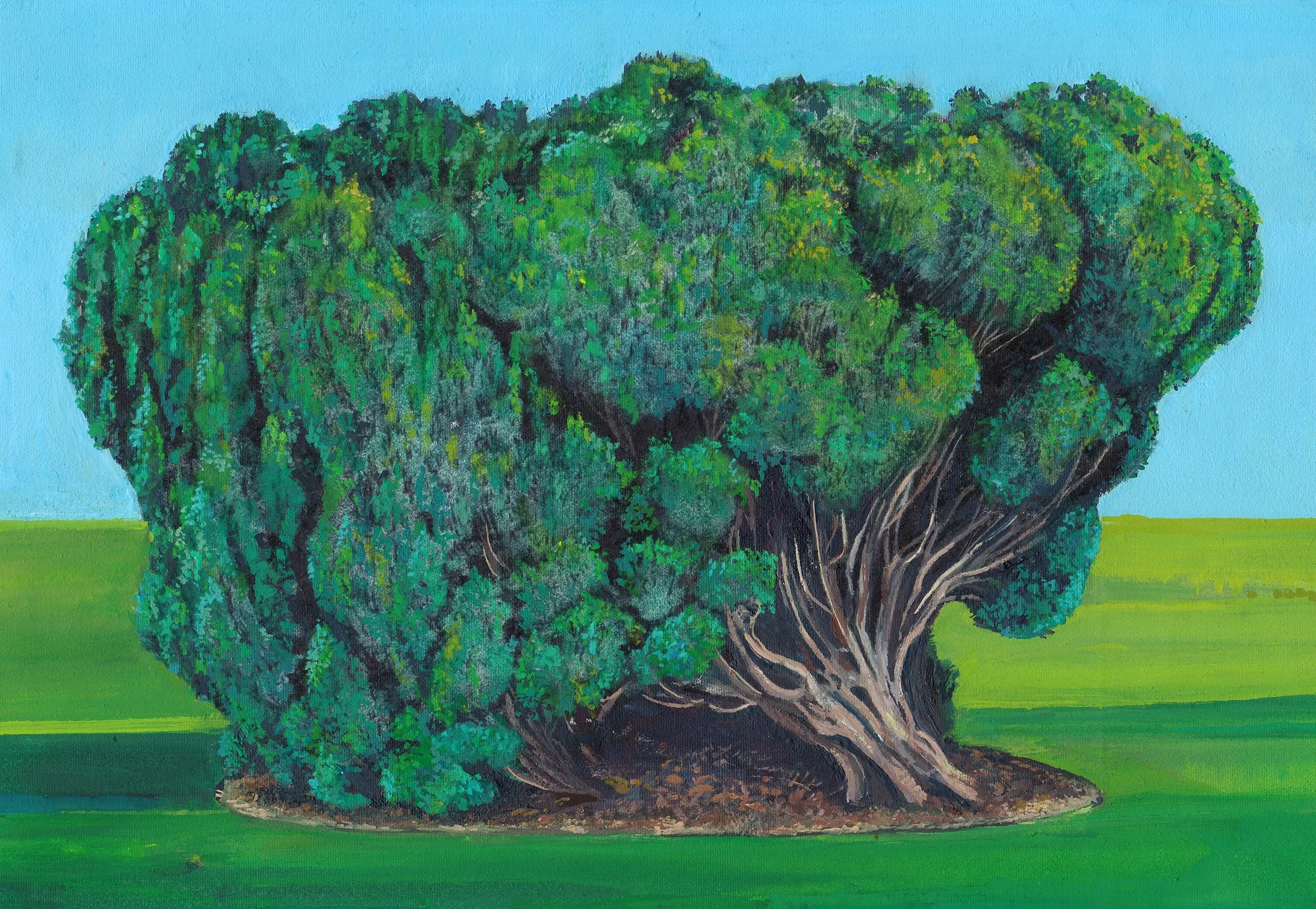 'Green Mantle'. Watercolour and Gouache on cloth.