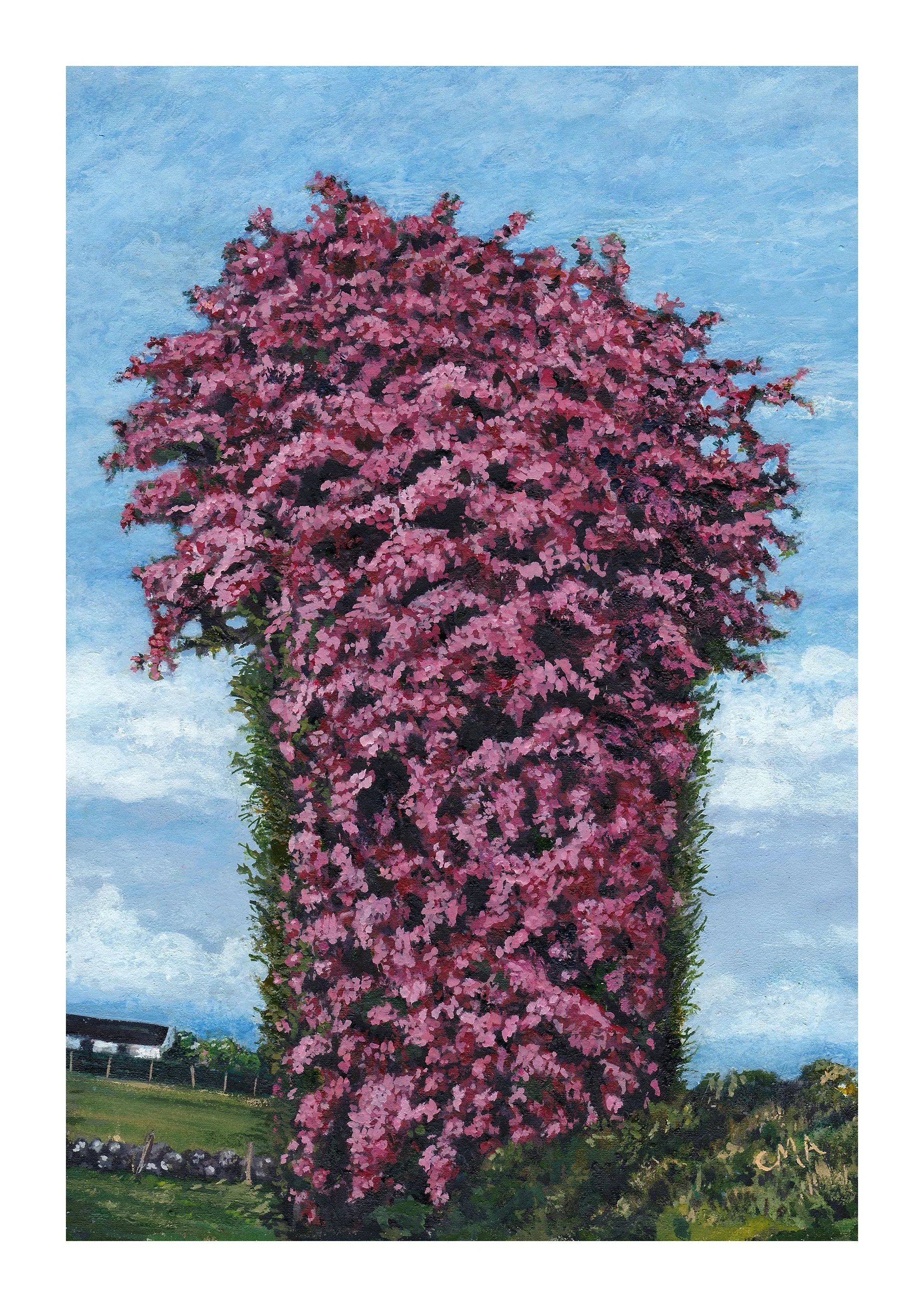 'Primavera', watercolour and gouache on cloth.
