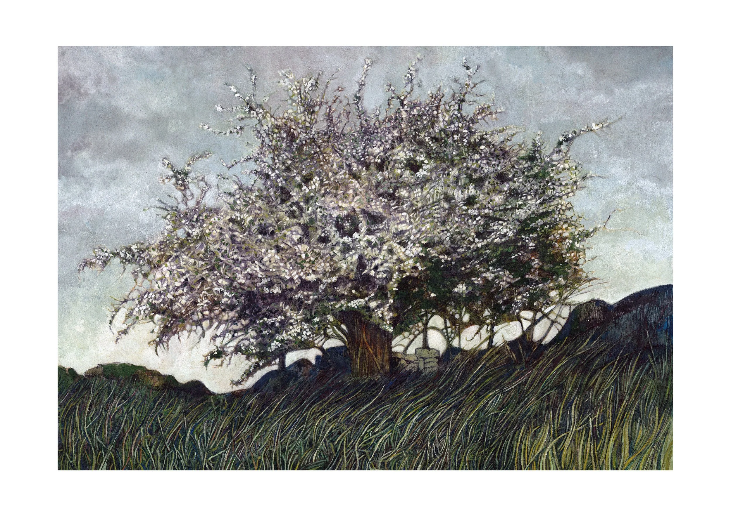 'The Whitethorn Tree', watercolour and gouache on cloth.