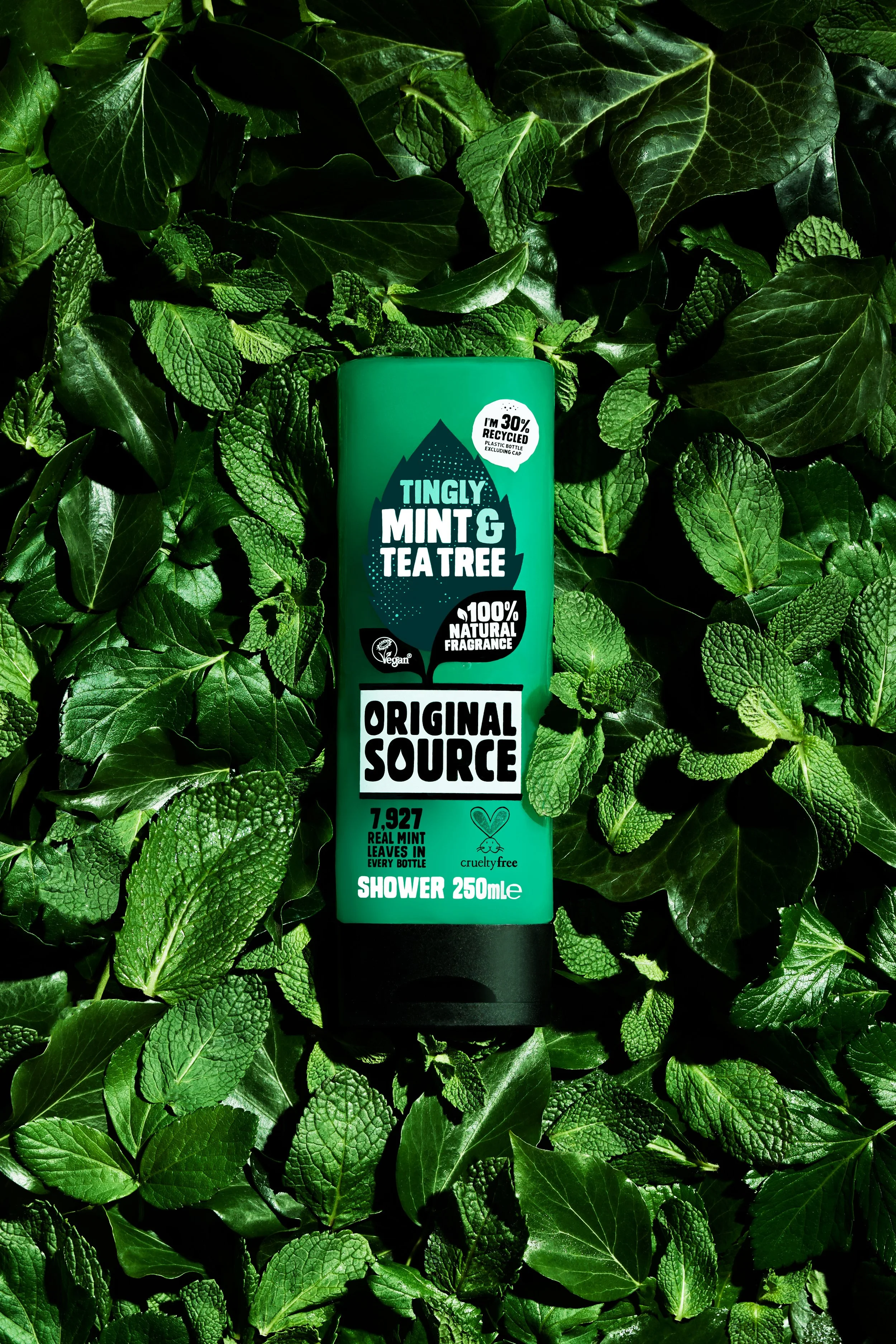 This image features Original Source Mint & Tea Tree Bodywash surrounded by its ingredients mint and tea tree