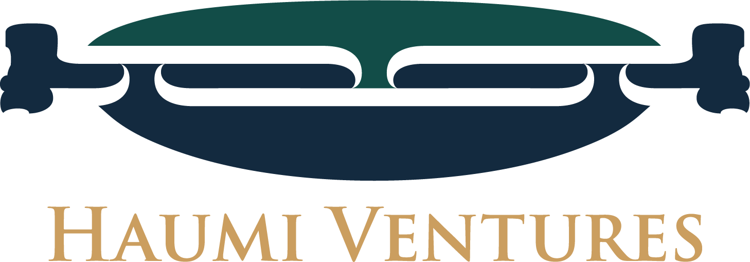 Haumi Ventures