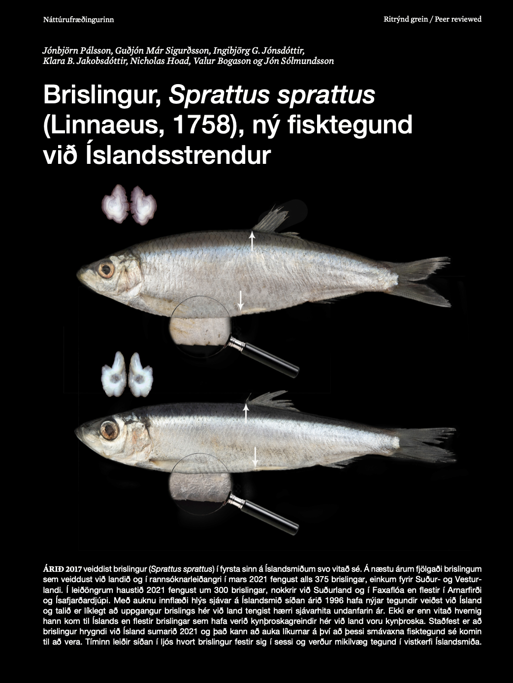 Screenshot 2025-09-21 at 19.56.01.png