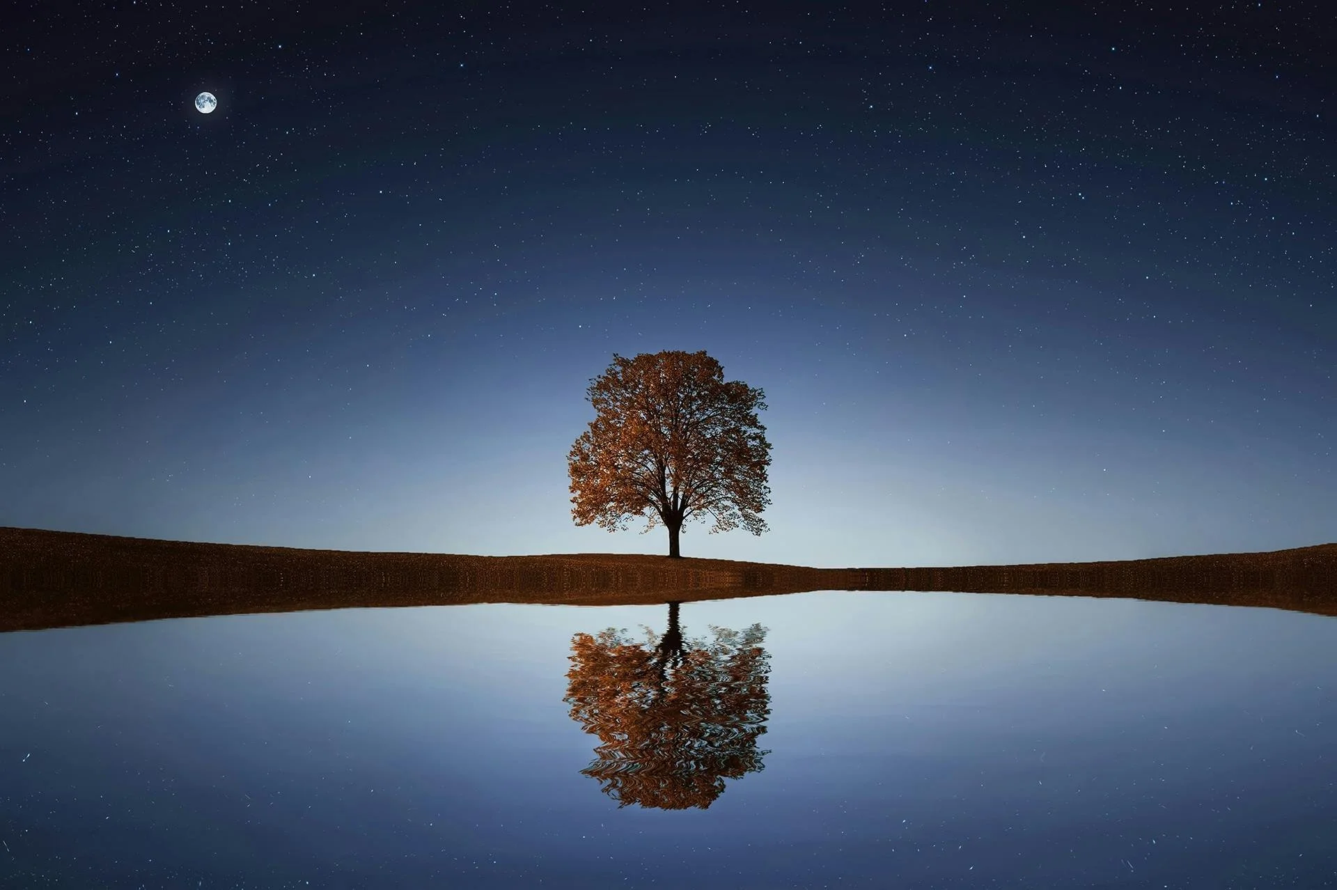 A lone tree with orange leaves is reflected in a calm body of water under a starry night sky, with the moon visible in the upper left corner.