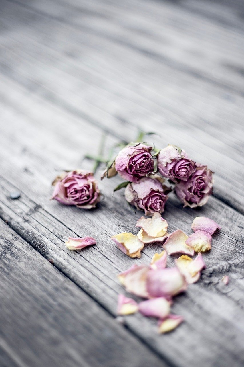 Wilted pink roses with scattered petals on weathered wooden surface.