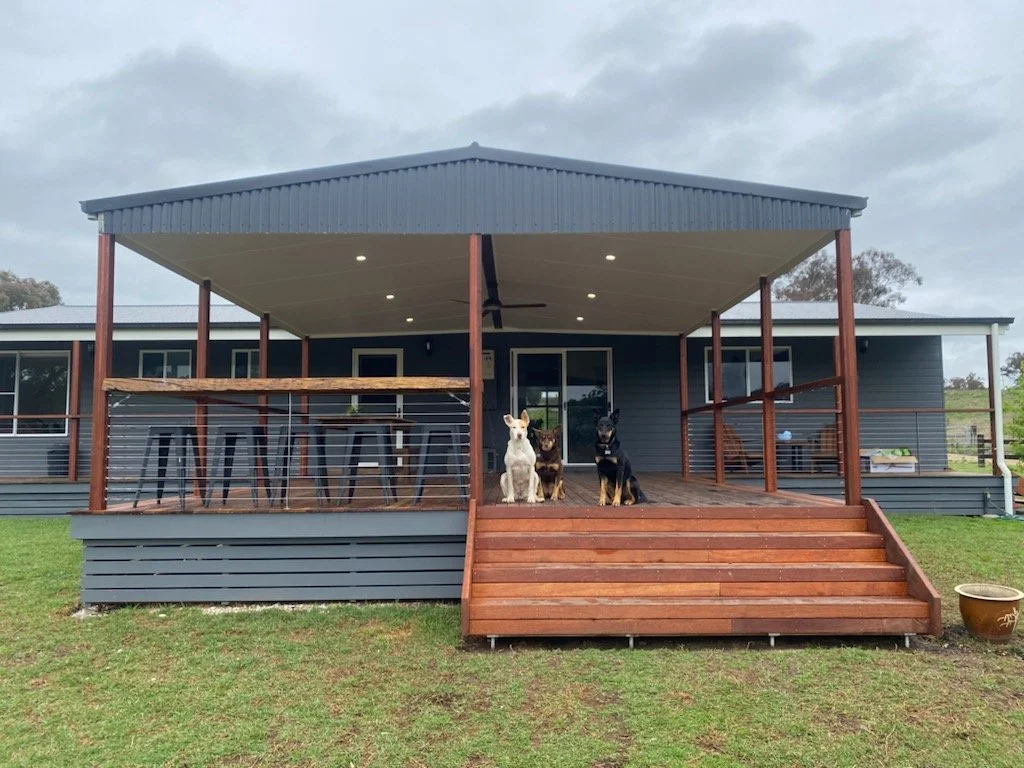 3 dogs sitting on the edge of a new timber deck in Mudgee NSW
