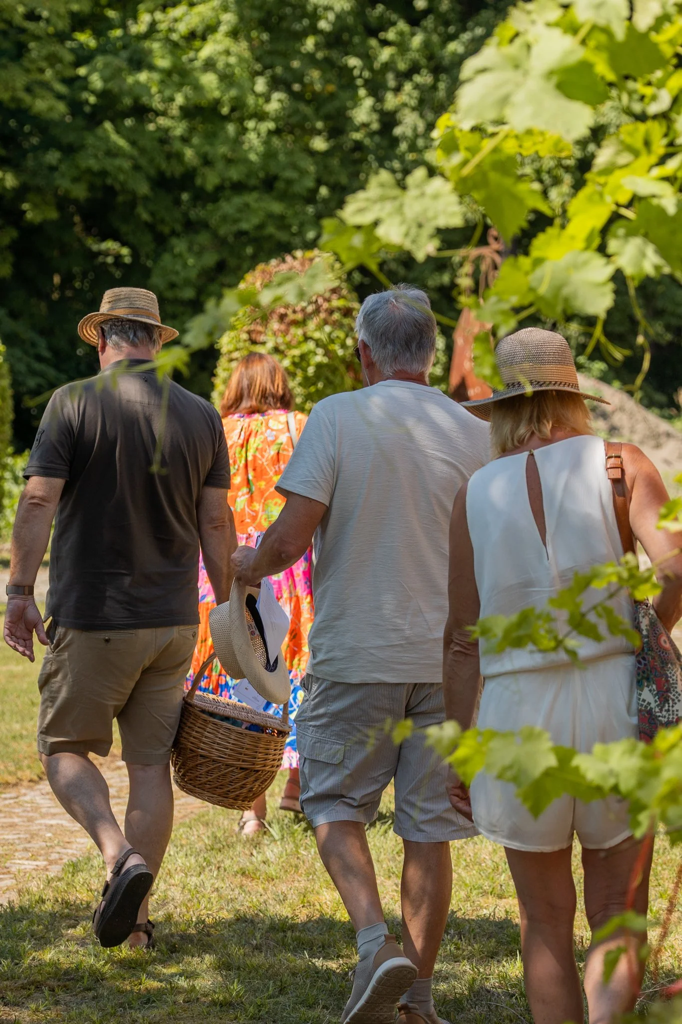 Culirit zomer 2026-6.jpg