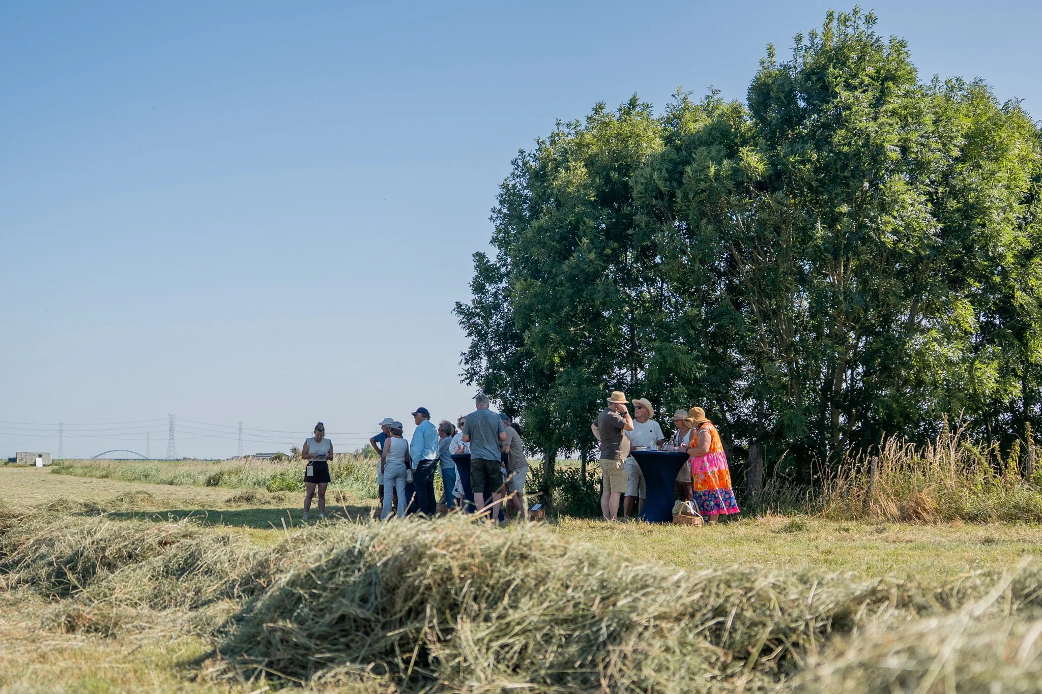 Culirit zomer 2026-147.jpg