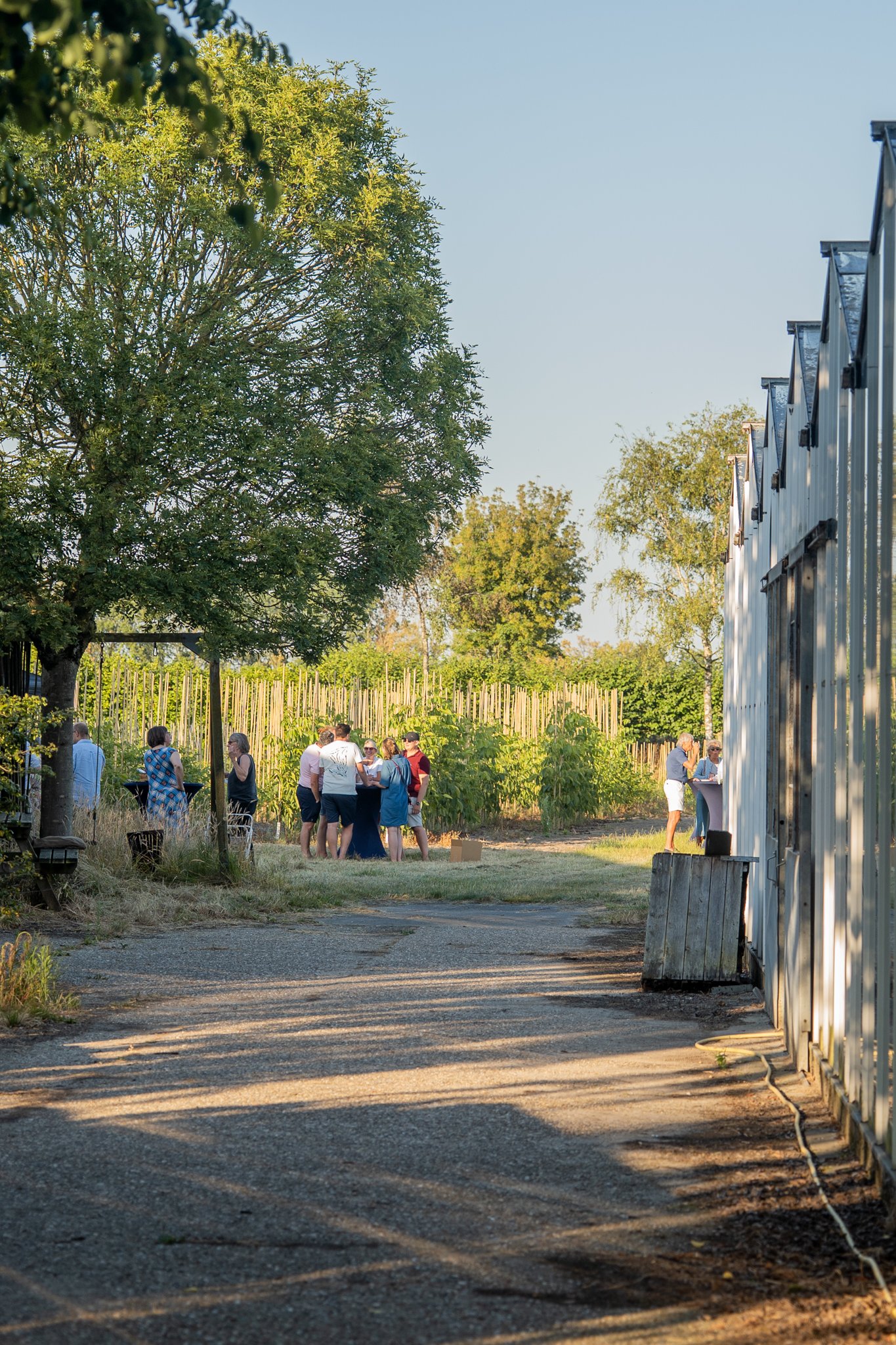 Culirit zomer 2026-188.jpg