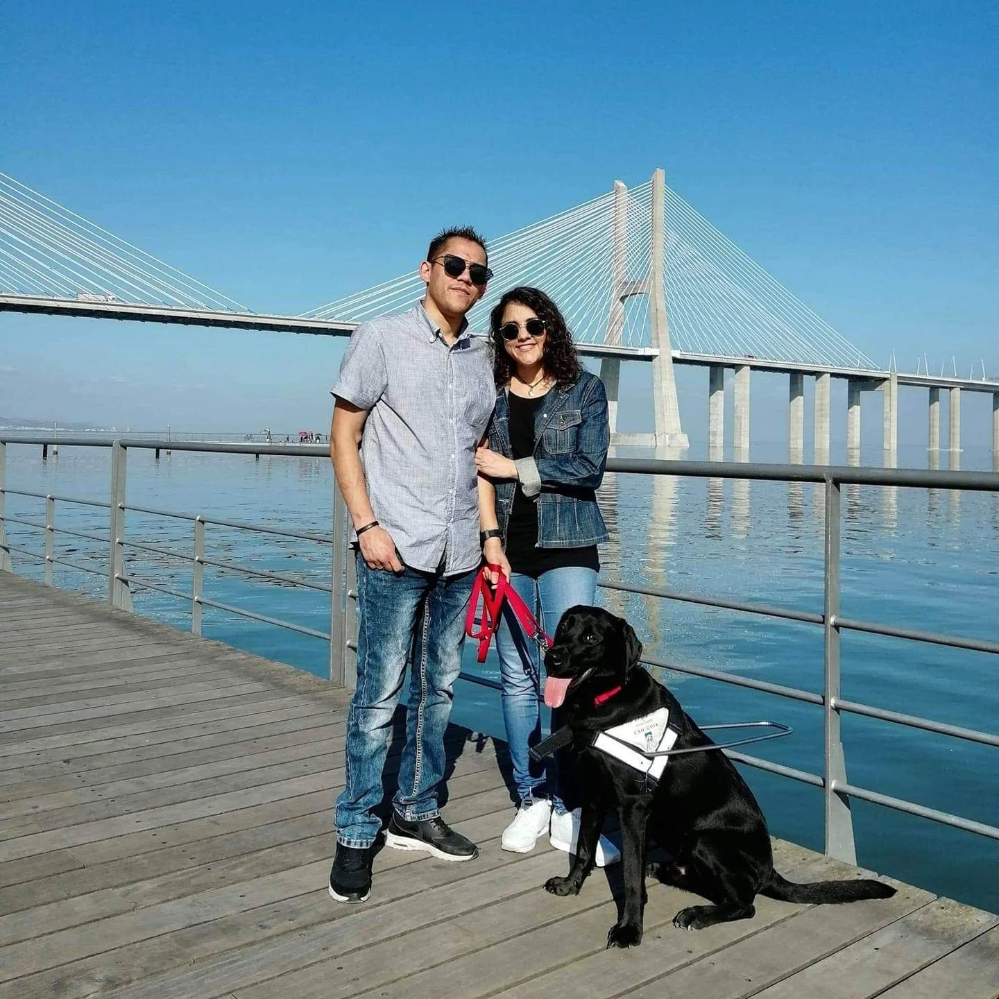 Madrid: O cão-guia que devolveu a liberdade à Liliana e ao Pedro