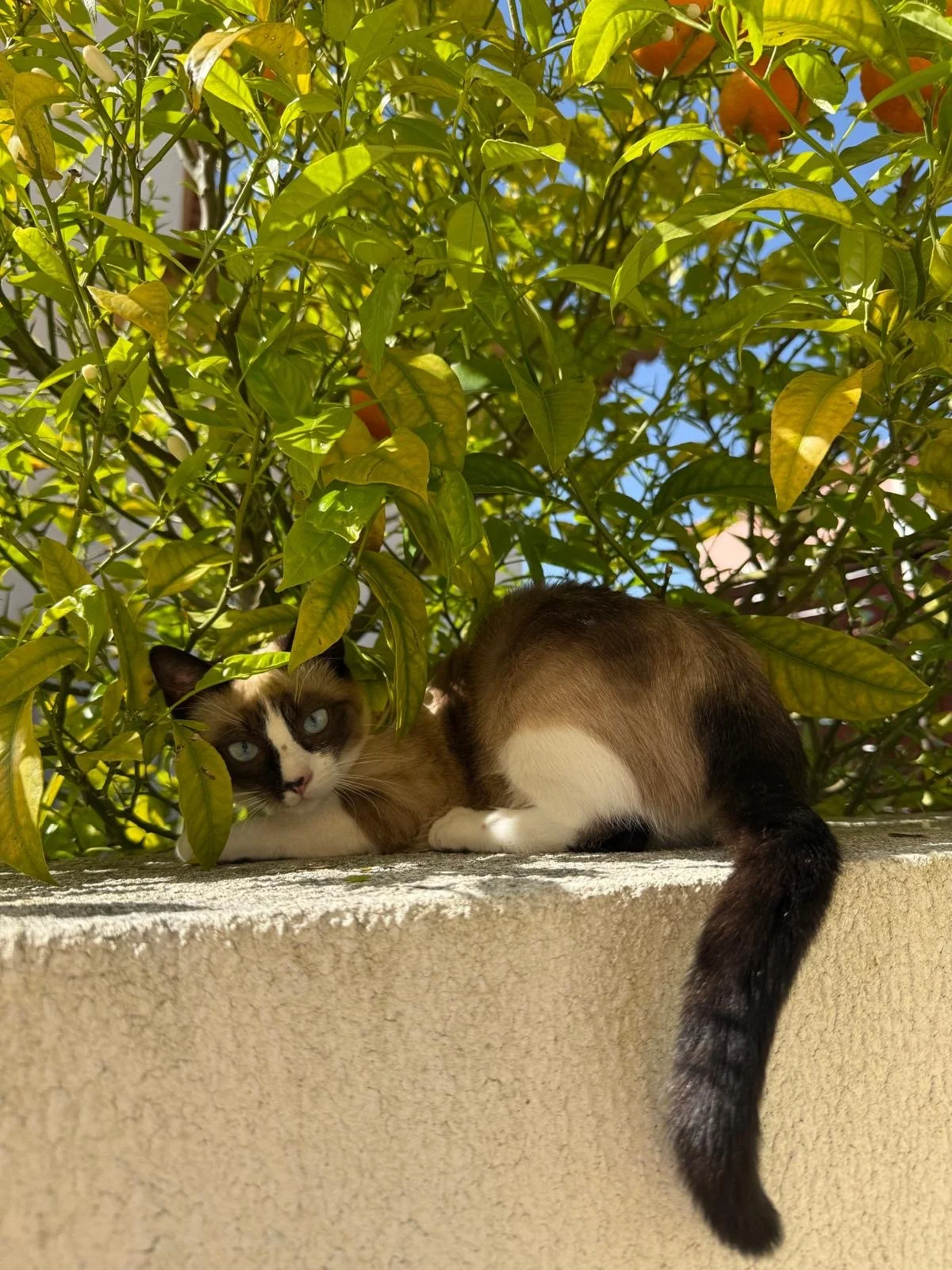 Foto 9.JPG