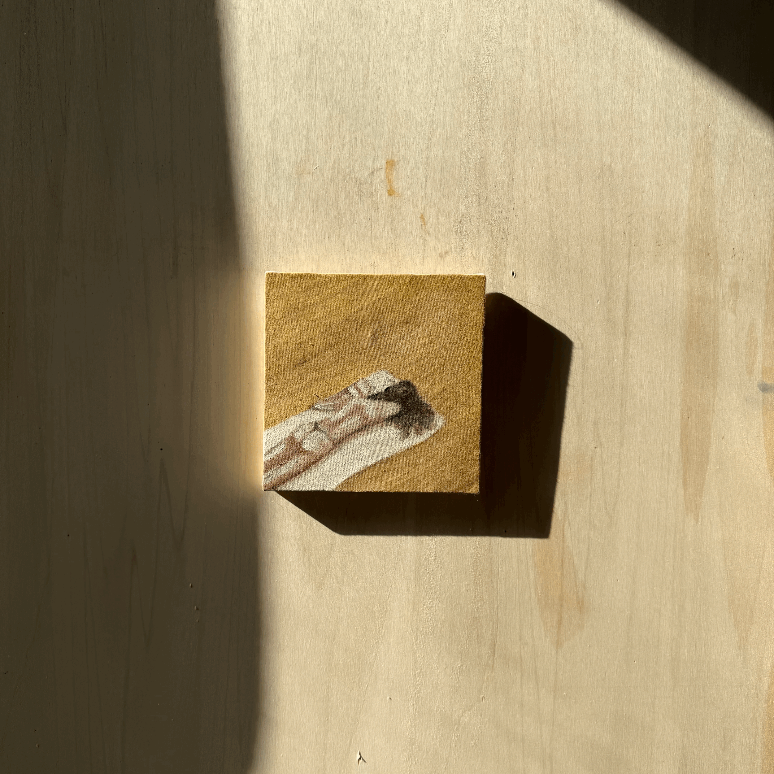 tempImagerpm2D8.gif