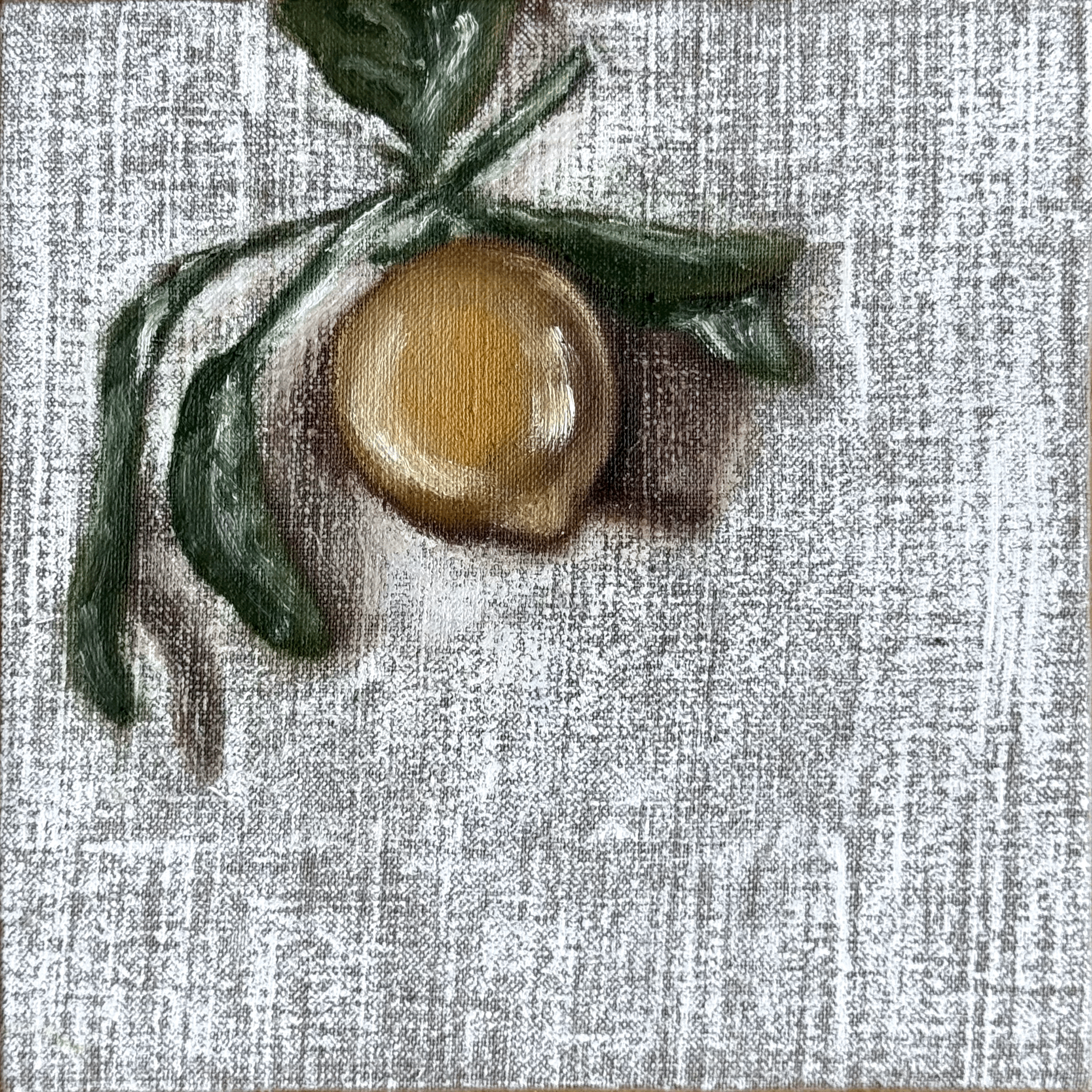 a sicilian lemon