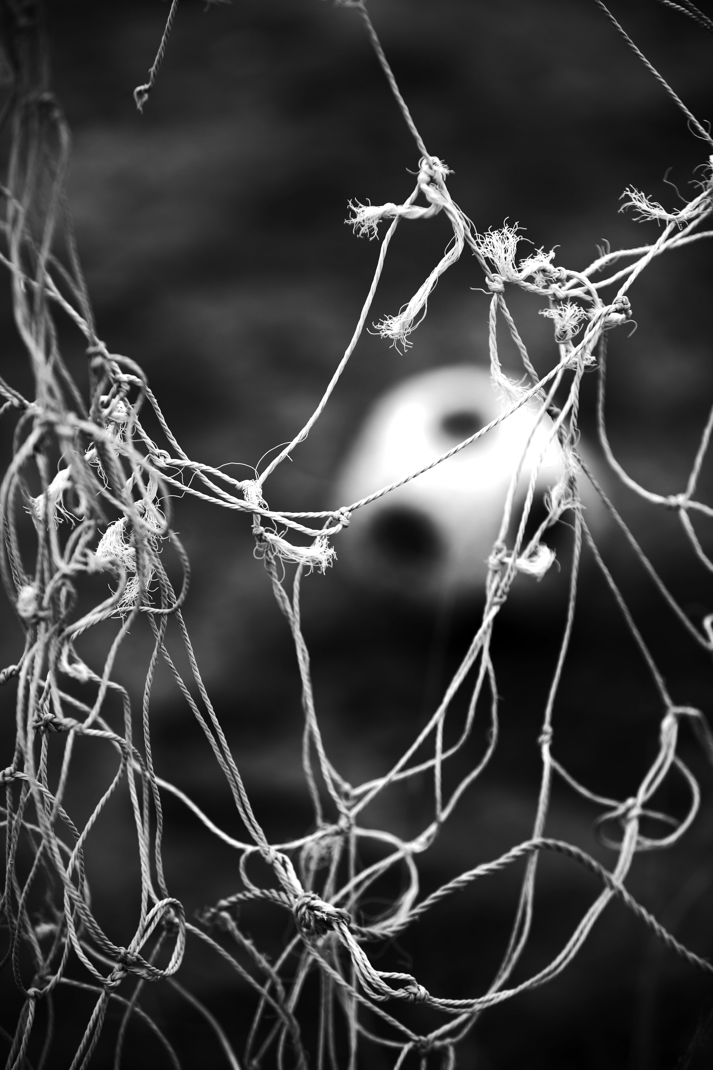 Broken Nets, The Real Heroes series, South Africa, 2009