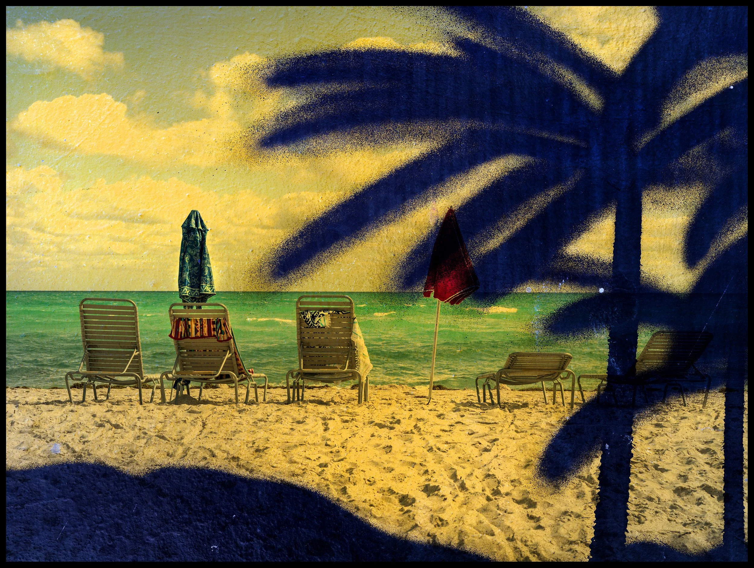 Graffiti Palms, Miami, 2025.jpg