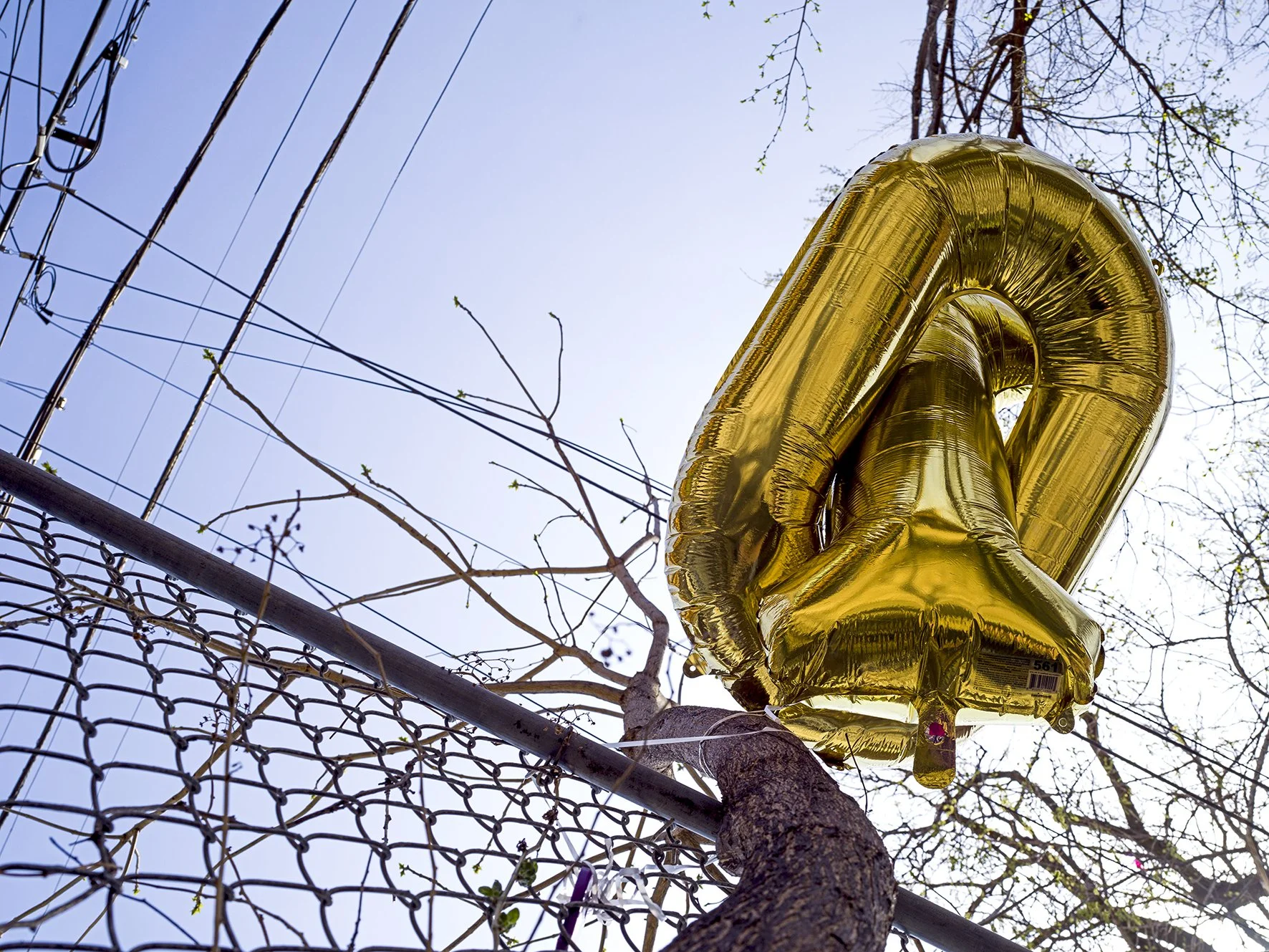 Balloons, Chicago, 2025