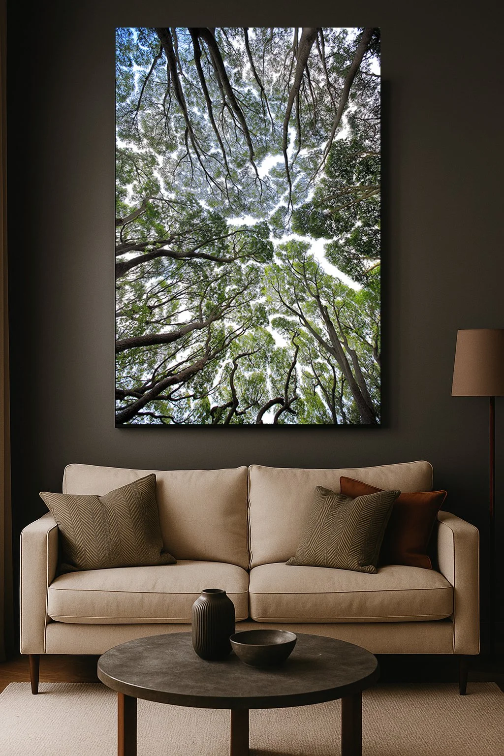 light between leaves_in situ.jpg