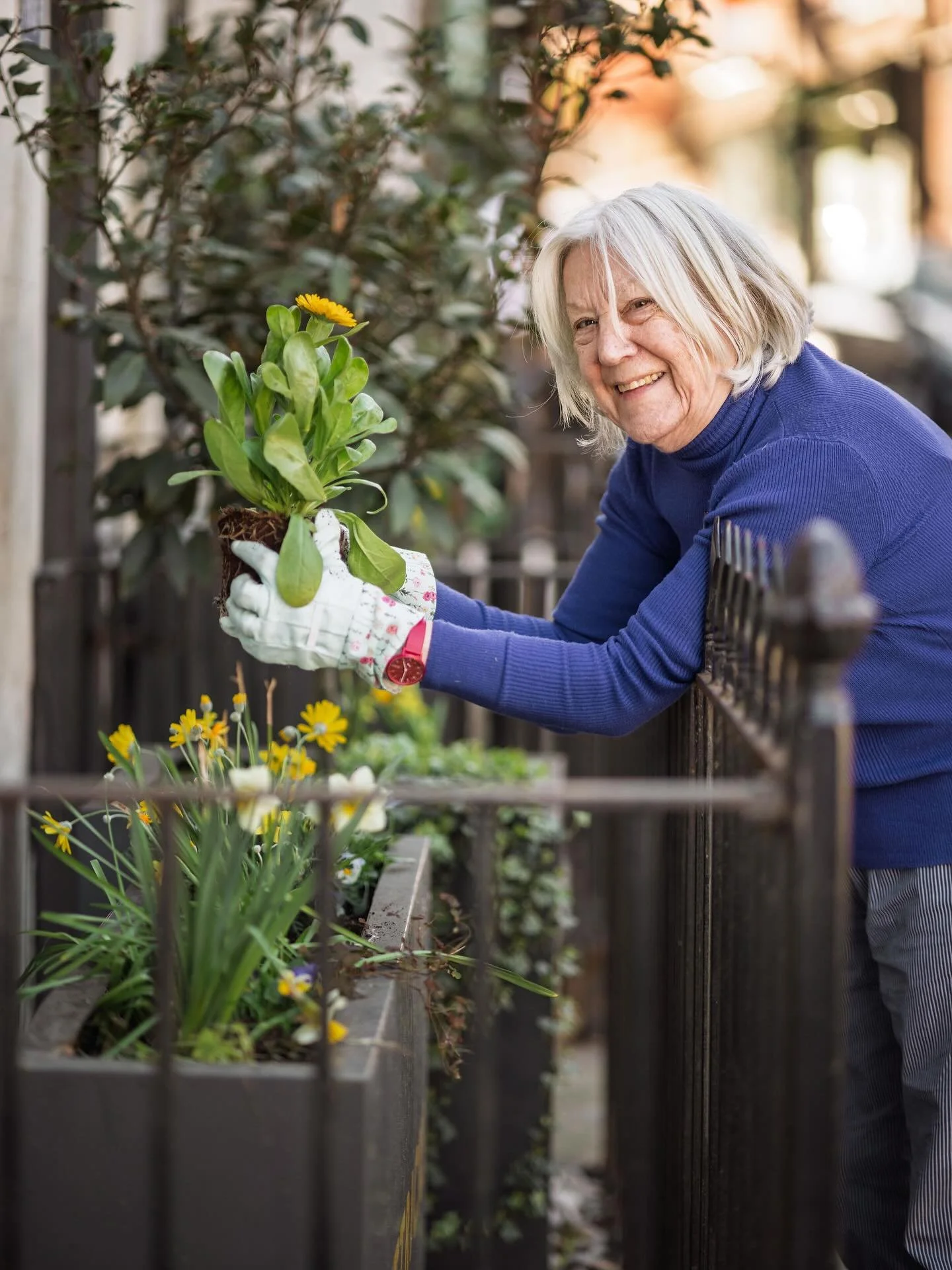 Wishing our lovely Grandma (Brenda Mettrick) a very Happy 86th Birthday 💛 

She&rsquo;s still a force to be reckoned with, takes care for all of our plants, is up and on her feet more often than not fettling away with a big smile on her face. She&rs