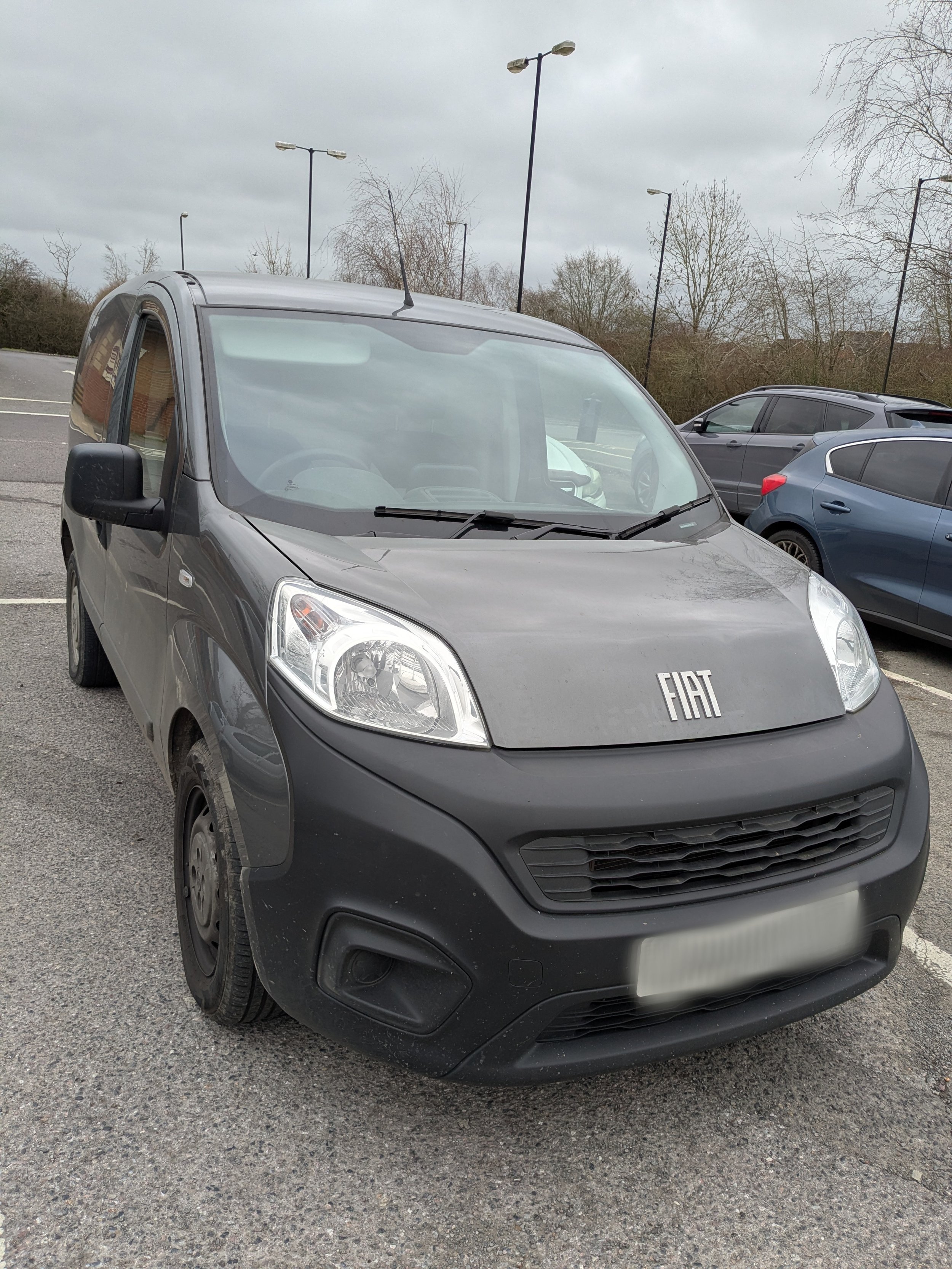 Gray Fiat commercial van parked in a parking lot, with other cars in the background and trees with overcast sky.