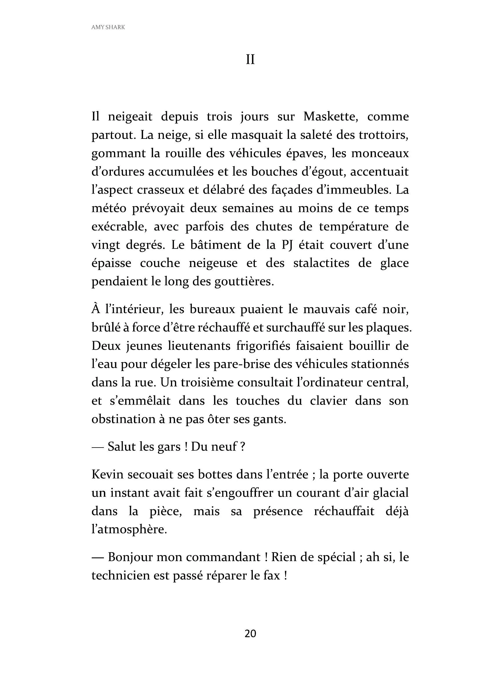 page-20.jpeg