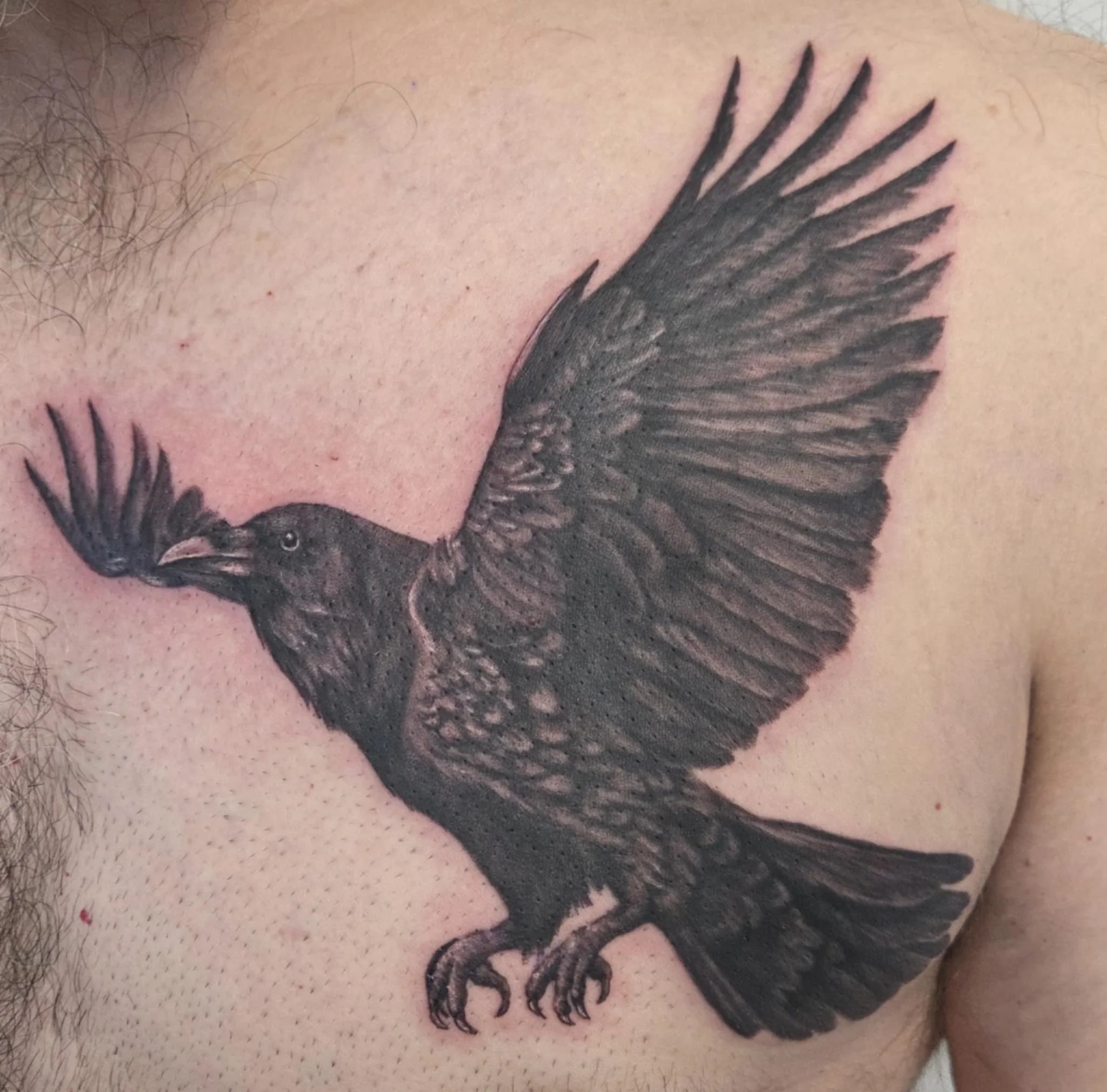 Black and grey tattoo of a raven 