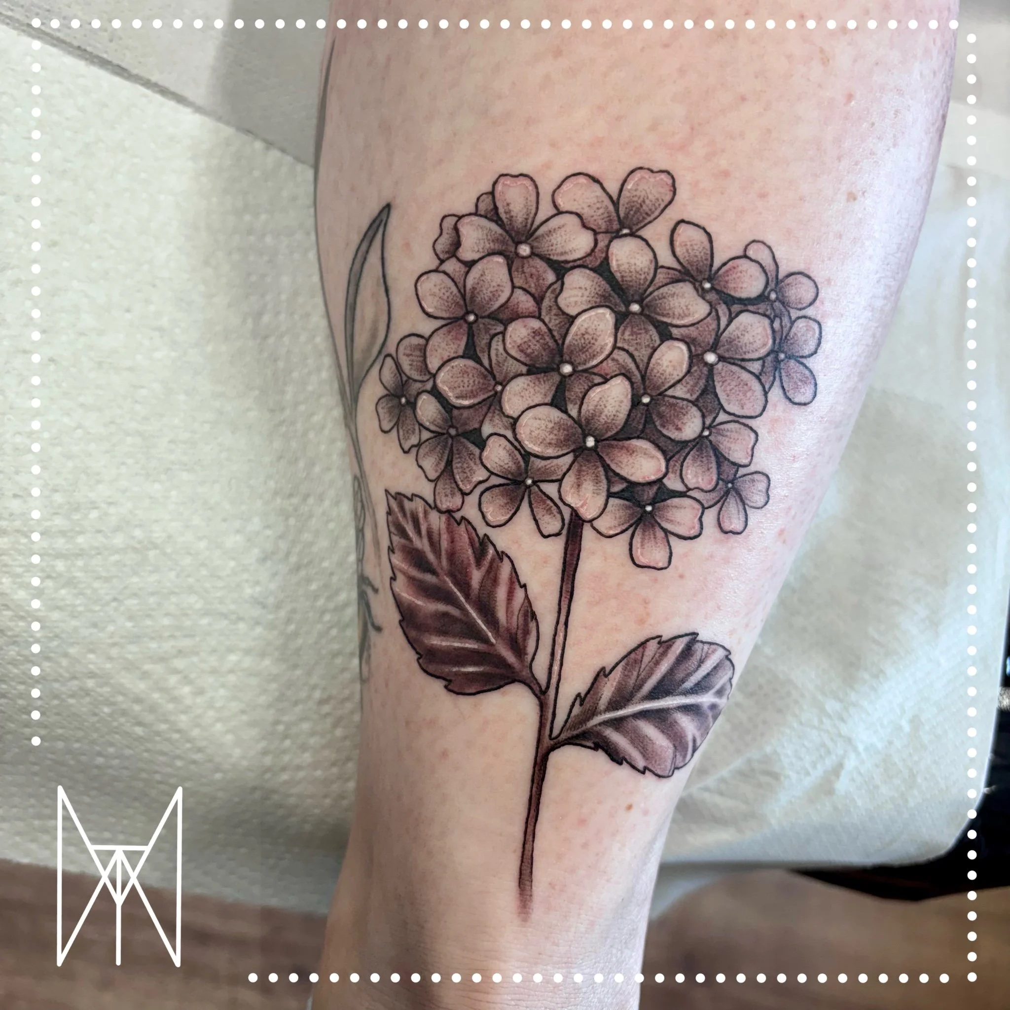 A black and grey tattoo of a hydrangea flower